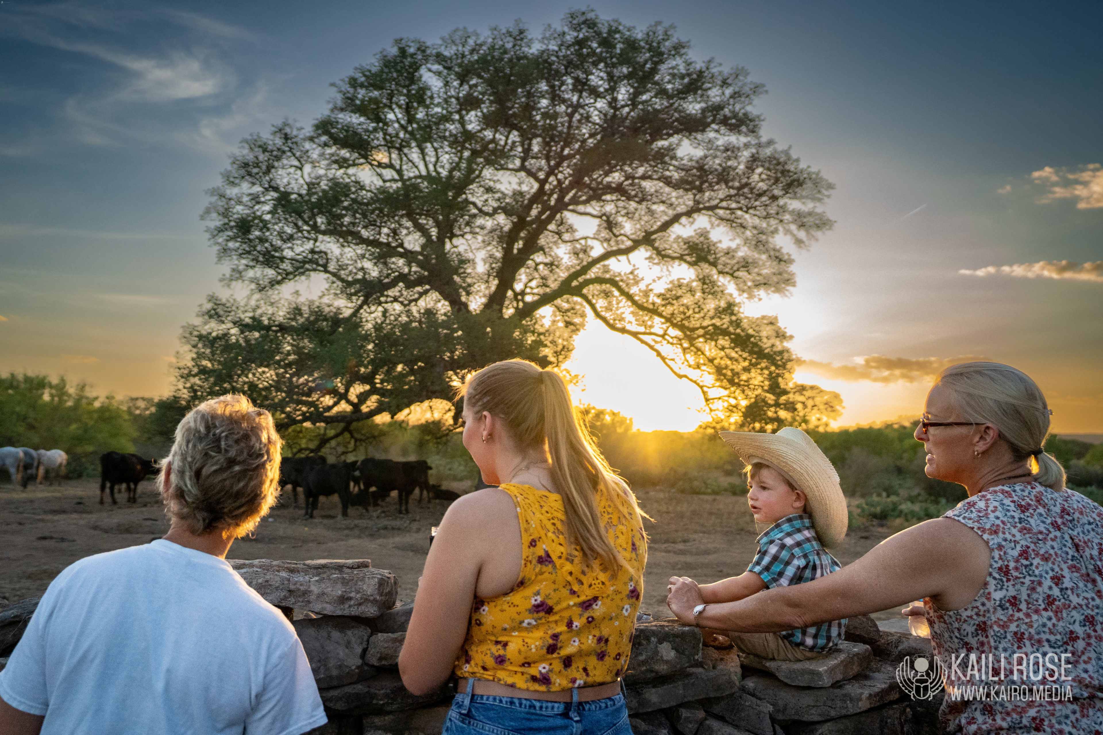A group of three adults and one child observe cattle grazing near a tree at sunset.