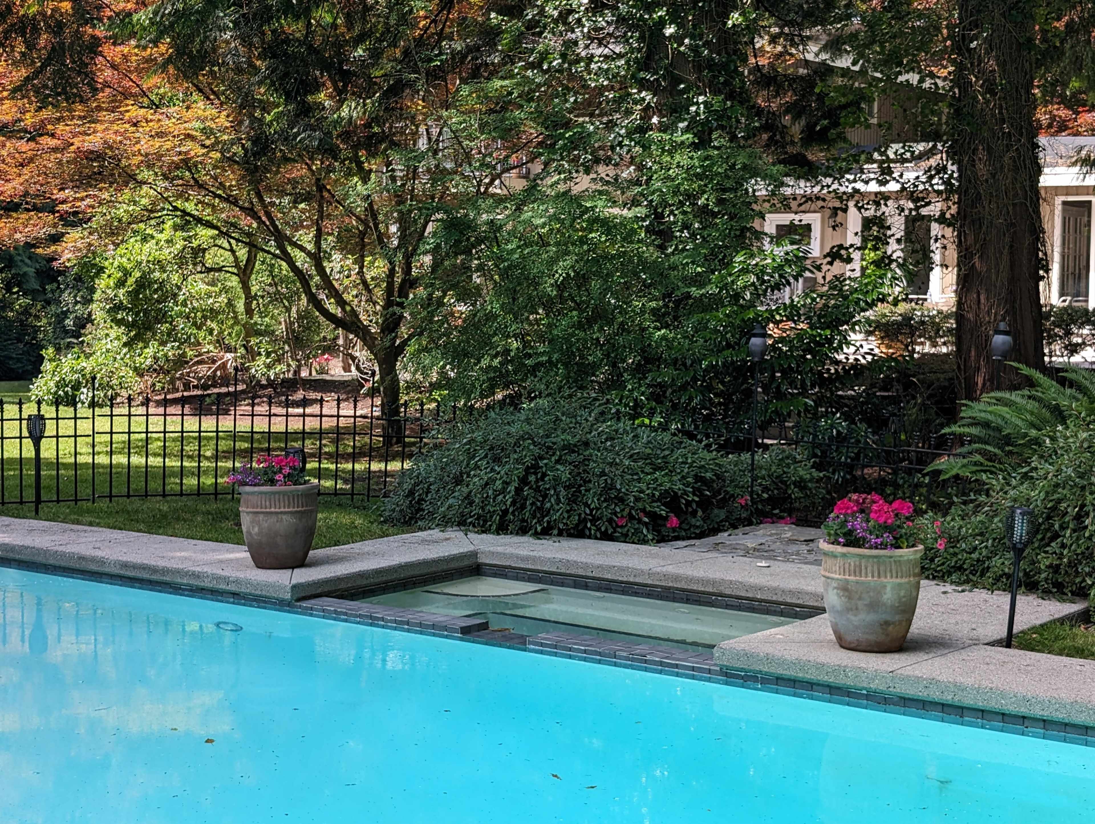 A clear blue swimming pool is bordered by potted flowers and landscaped greenery, with a house partially visible in the background.