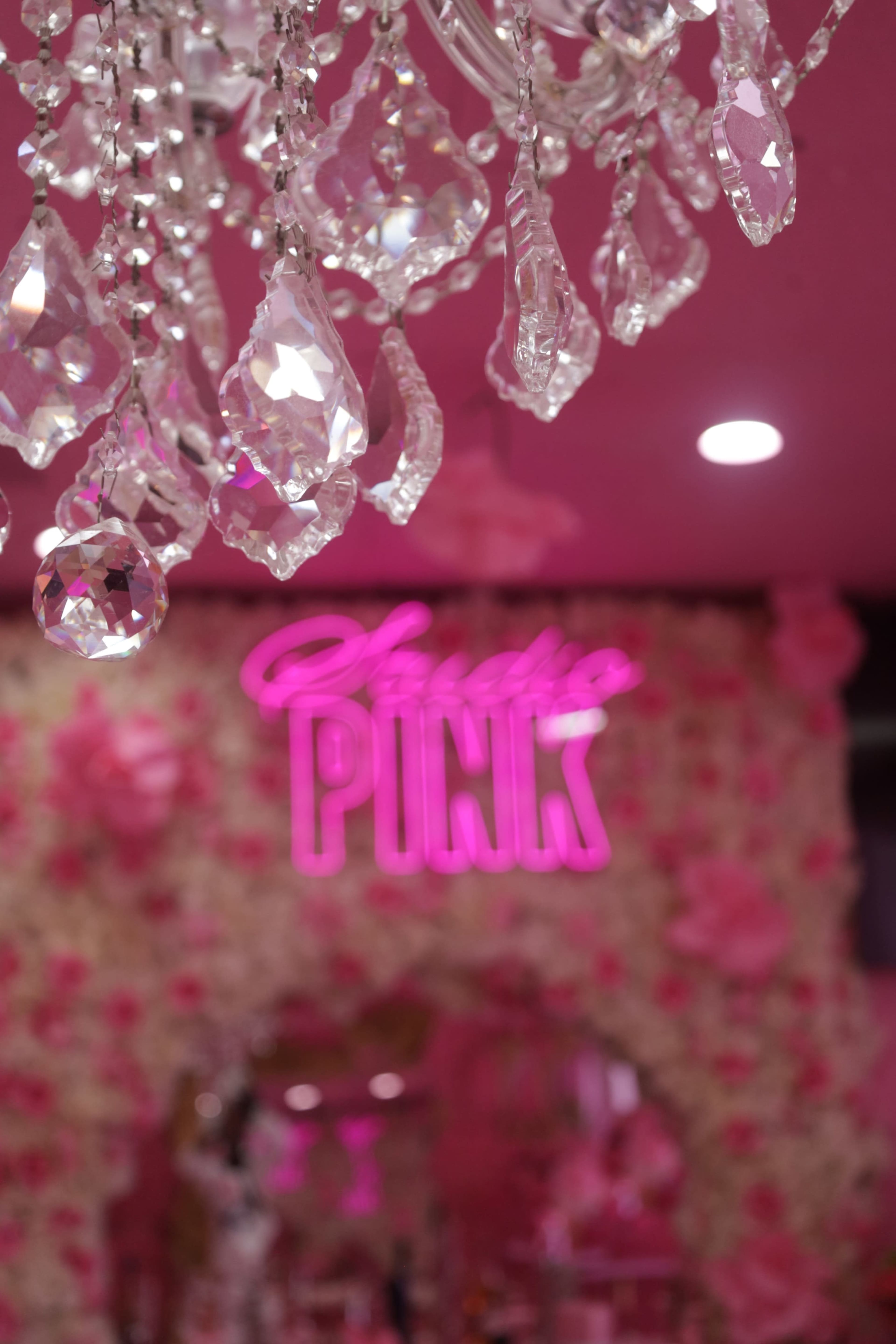 The Pink Lounge Image in Hempstead, Merrick, NY