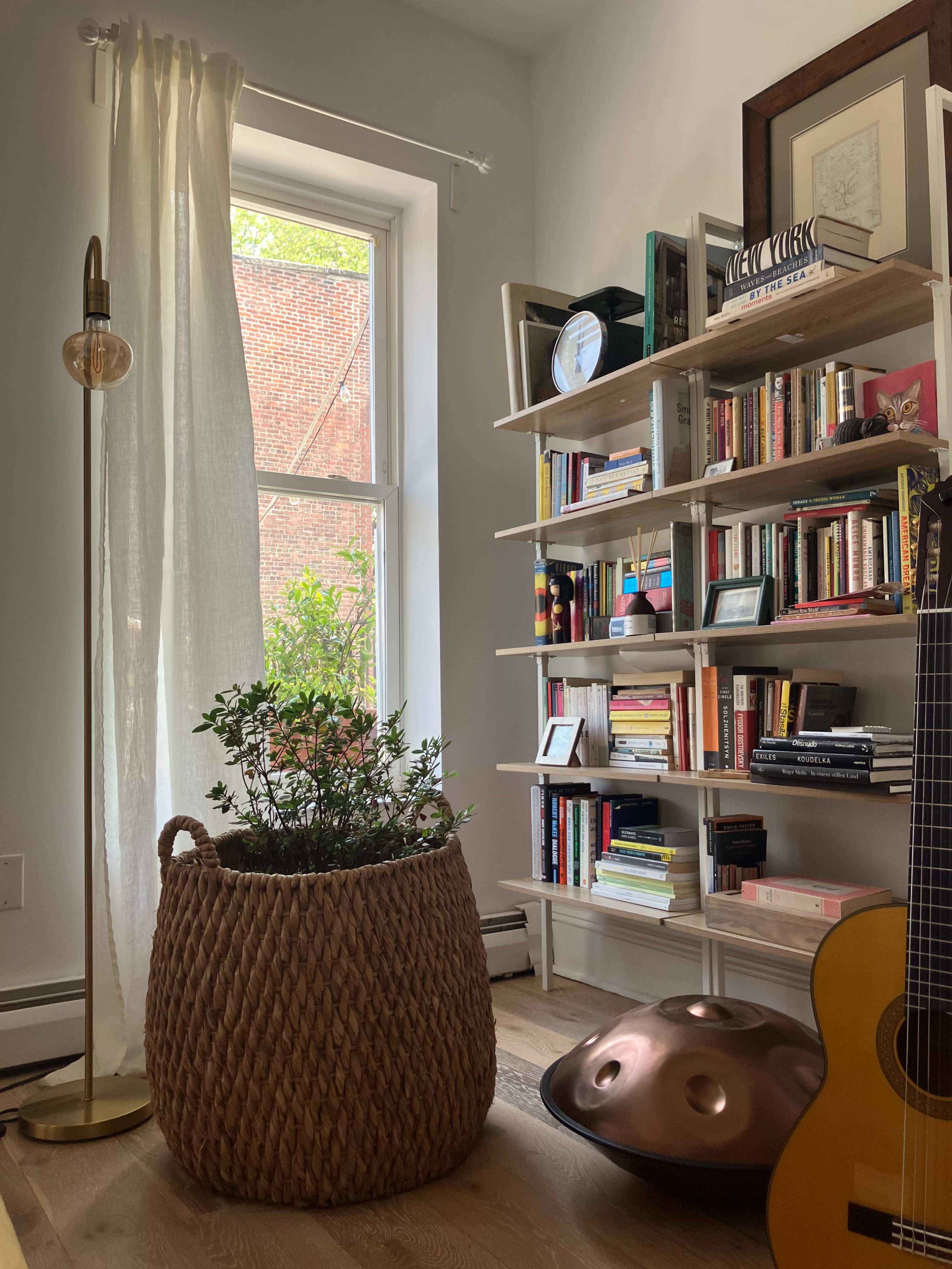 A bright room features a large window, a plant in a woven basket, a floor lamp, a bookshelf filled with books, and a guitar on the floor.