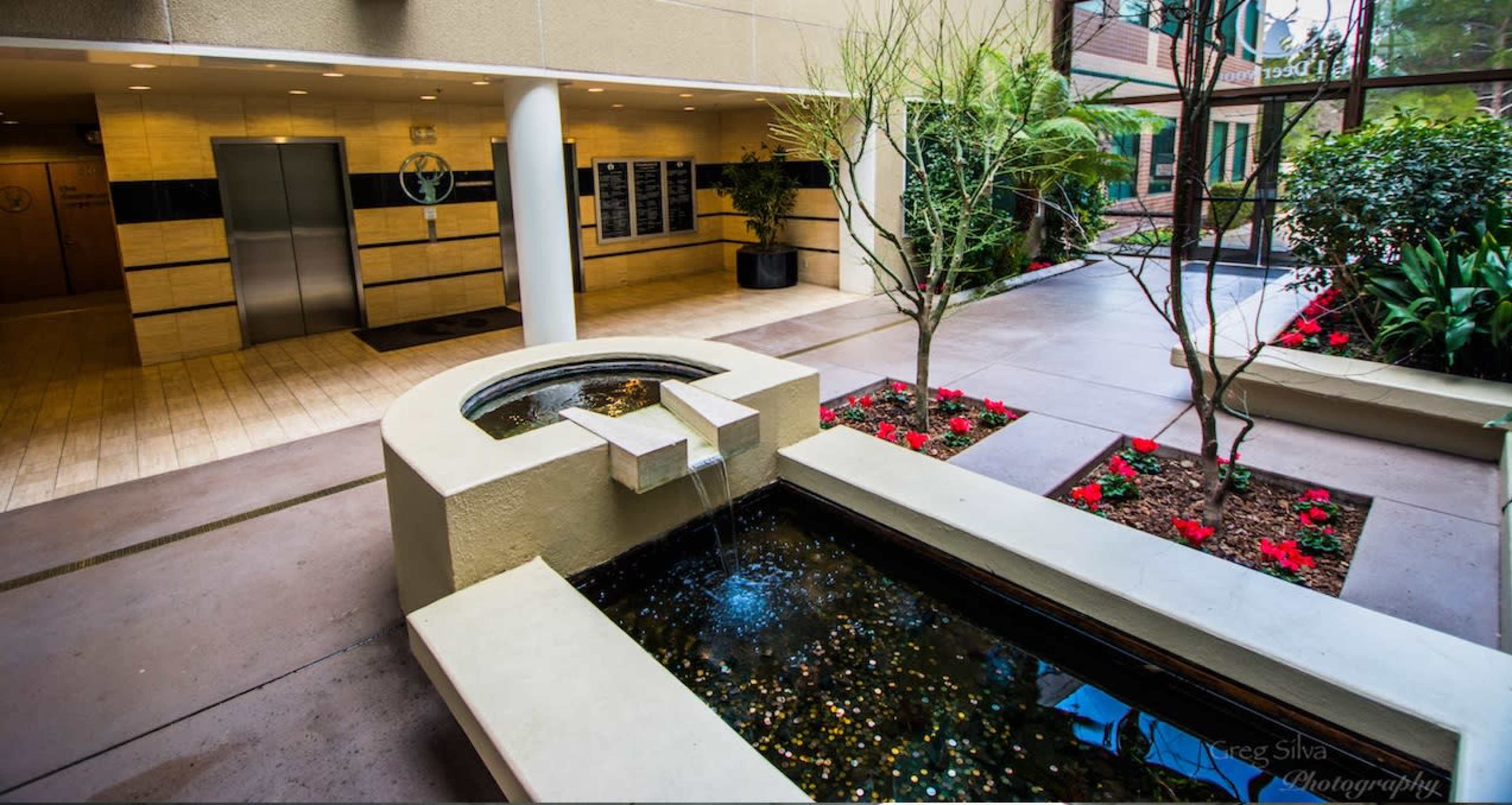 A modern indoor space featuring a water fountain surrounded by plants and red flowers, with an elevator in the background.