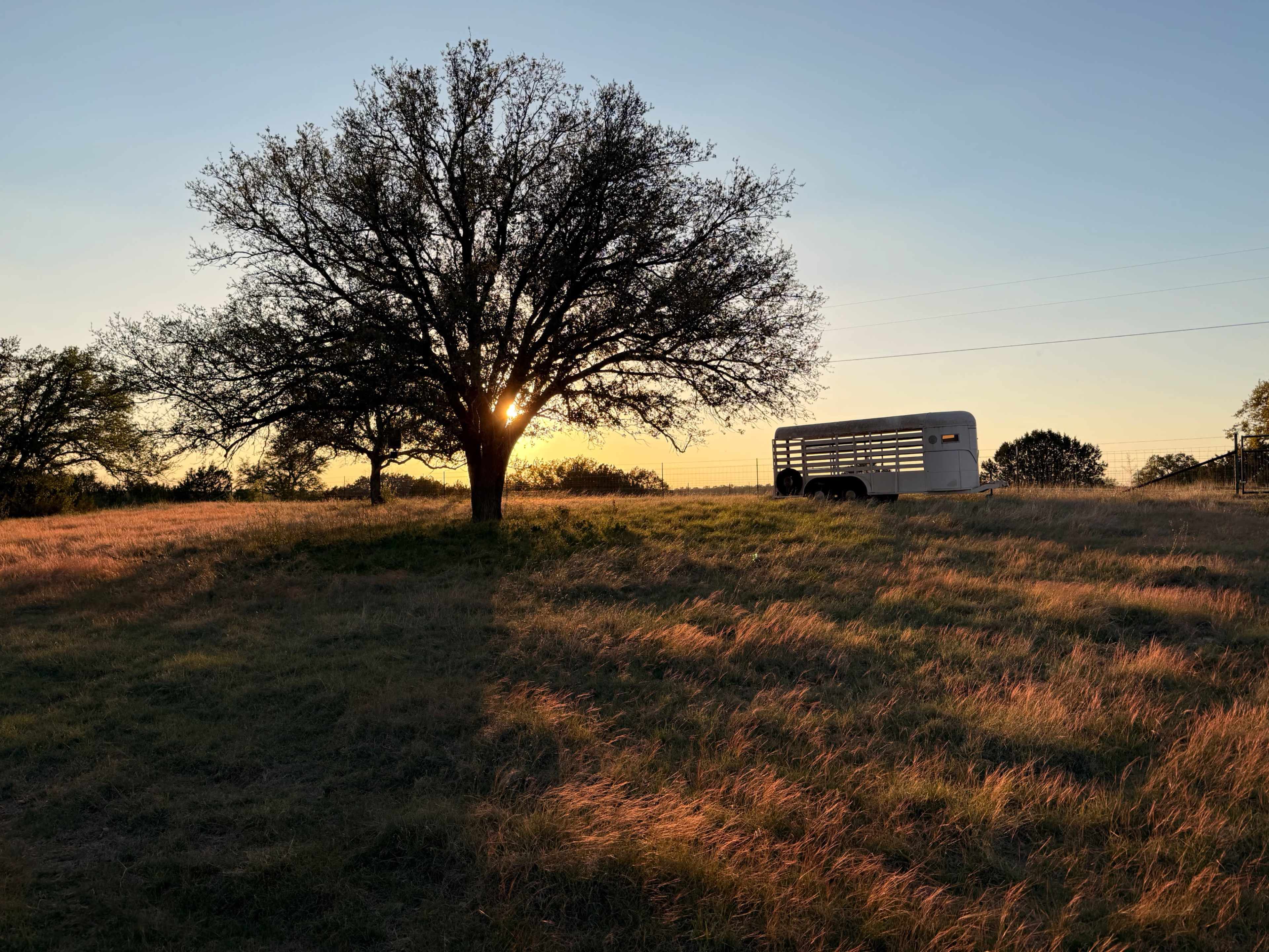 Country Ranch Vibes Image in , Burnet, TX