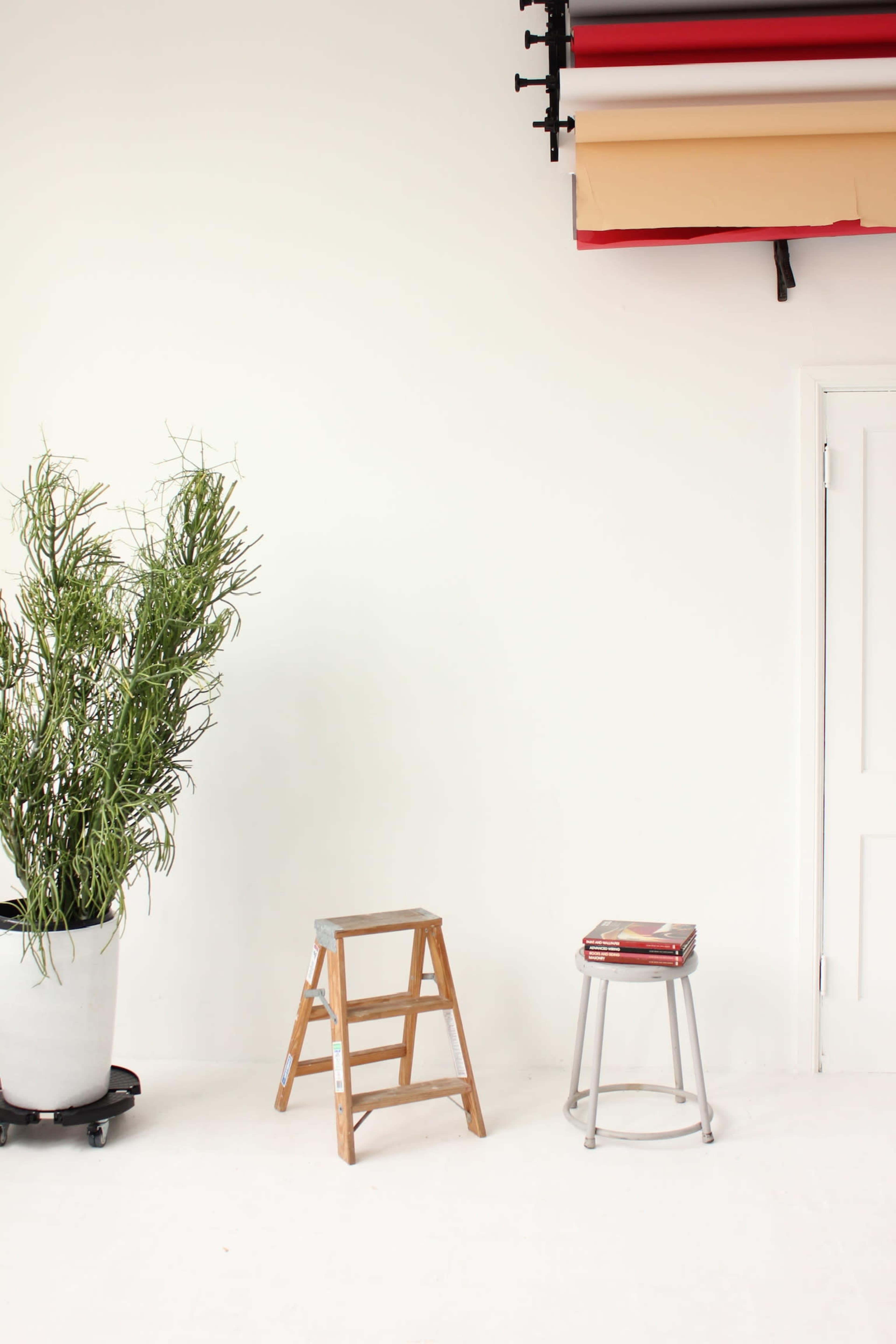 The image features a minimalistic interior with a step ladder and a stool beside a large potted plant, against a white wall decorated with rolls of colored paper.