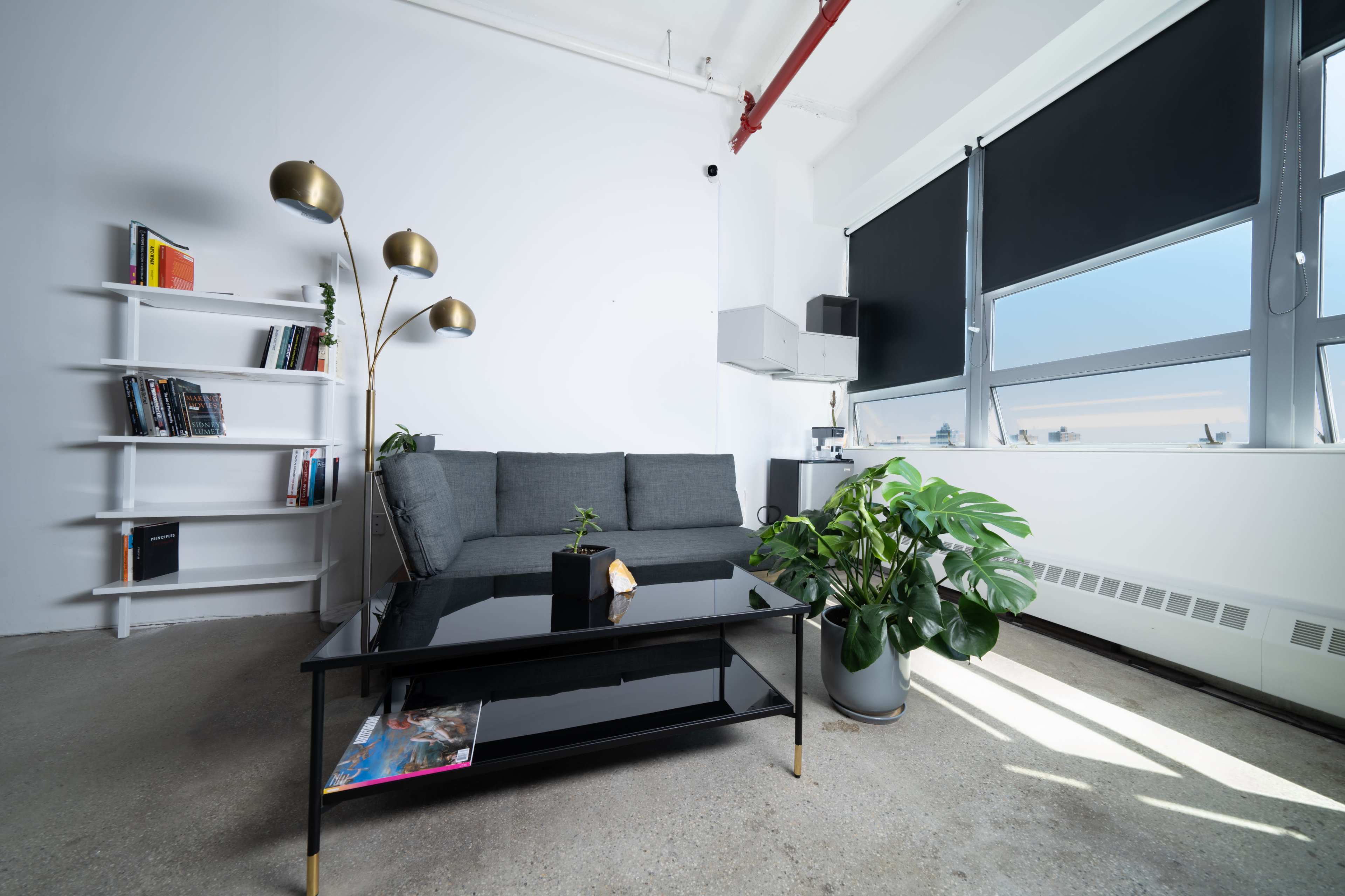 A modern living room with a gray sofa, a black coffee table, a large plant in a pot, a bookshelf filled with books, and windows with black shades.