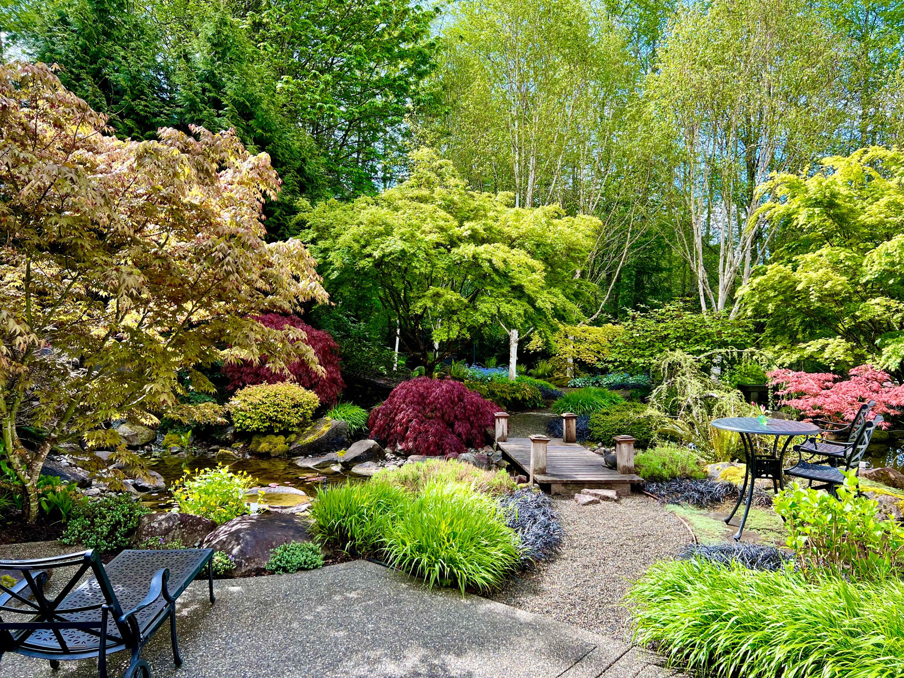 A landscaped garden with a variety of trees, shrubs, and a small pond, featuring a wooden bridge and seating areas.