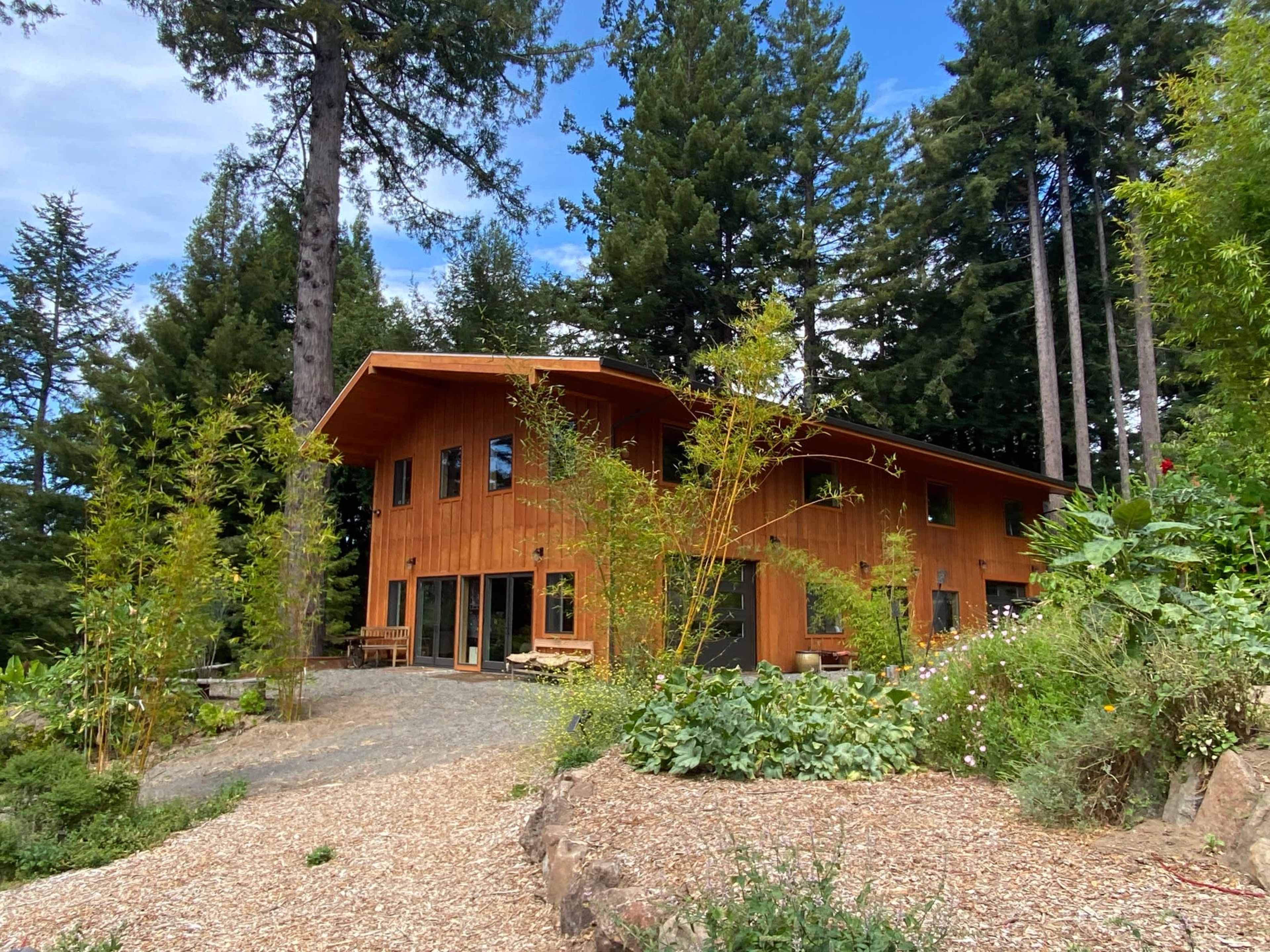 A wooden house with large windows sits among tall trees and lush greenery on a gravel pathway.