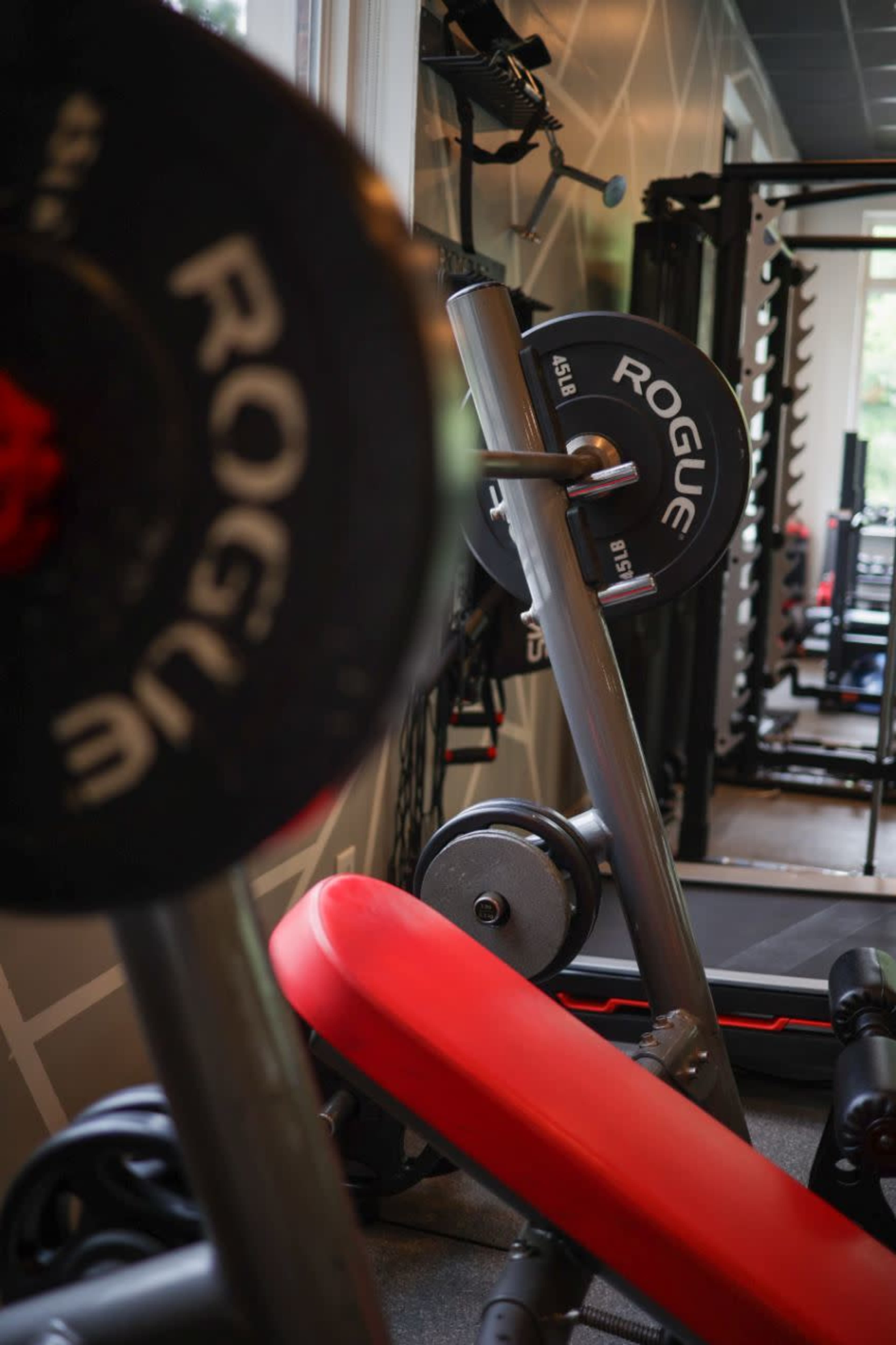 The image shows a gym with a bench press setup, featuring Rogue weight plates and a red bench positioned in front of weightlifting equipment.