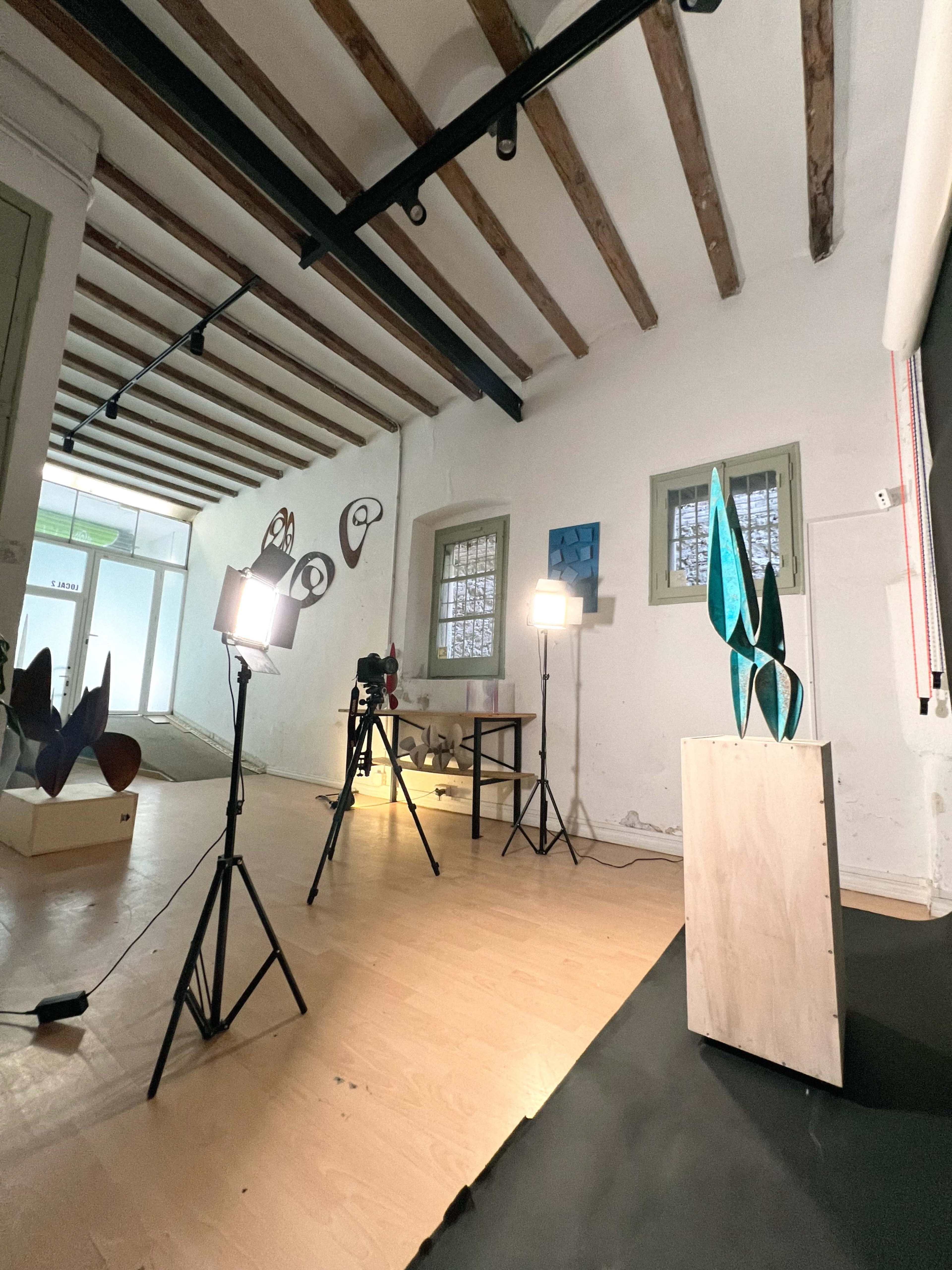 The image shows an art studio with two light setups, a camera on a tripod, and various sculptures displayed along the walls.
