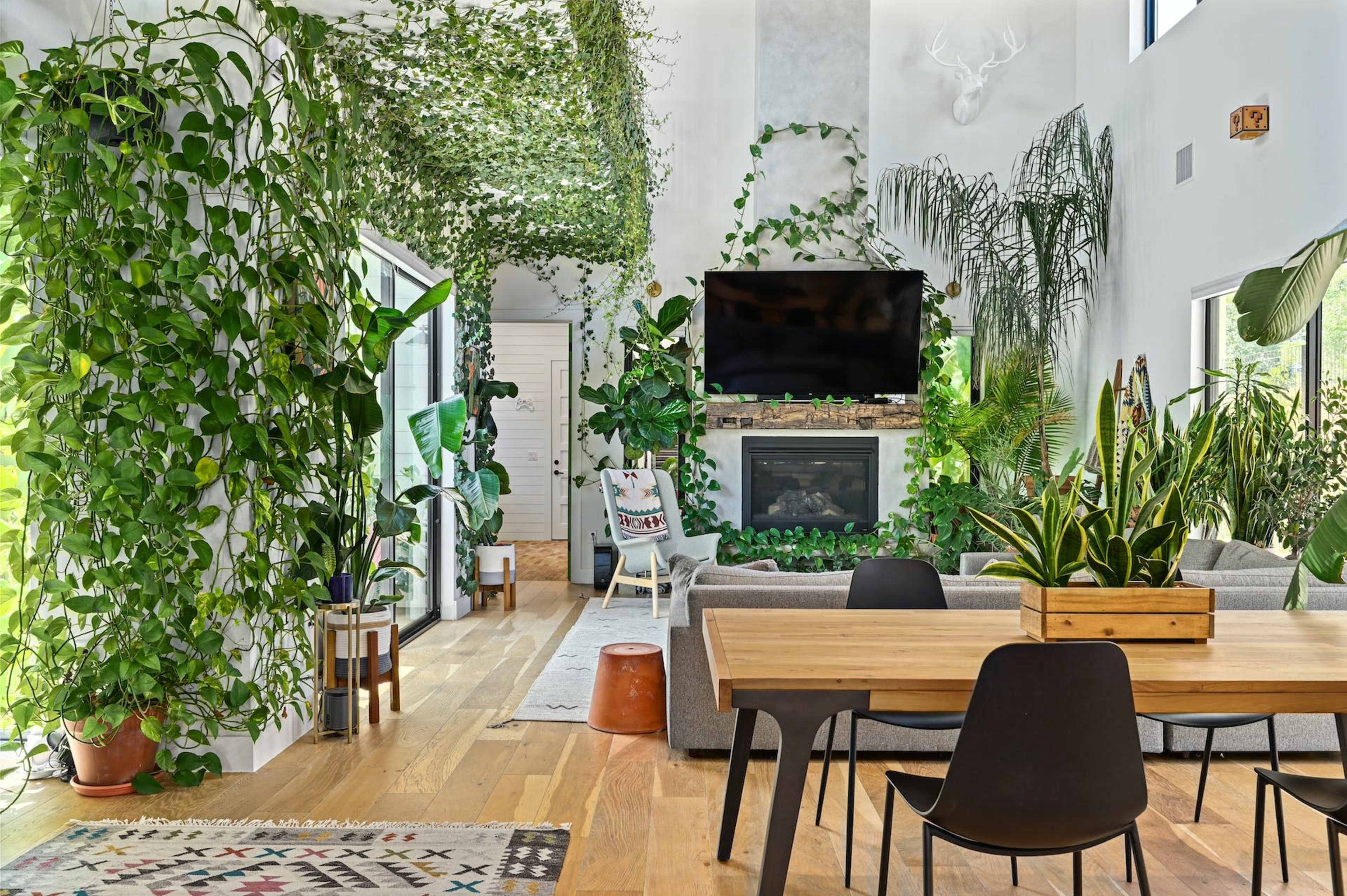 The living room features large windows, a cozy fireplace, and abundant indoor plants, complemented by a dining area with a wooden table and black chairs.
