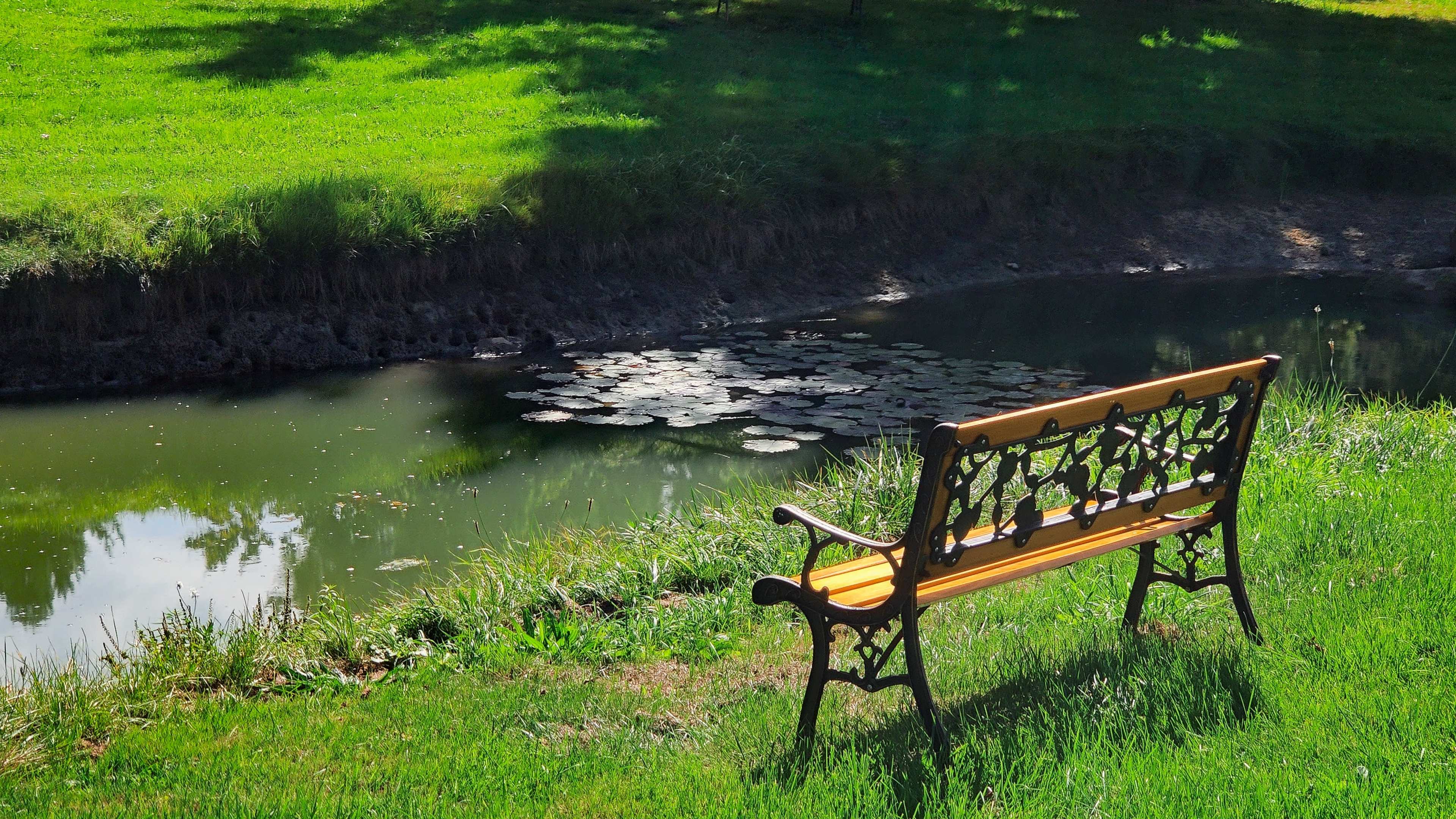 10 Acre Farm House with Pool & Ponds Image in East Gwillimbury, East Gwillimbury, ON