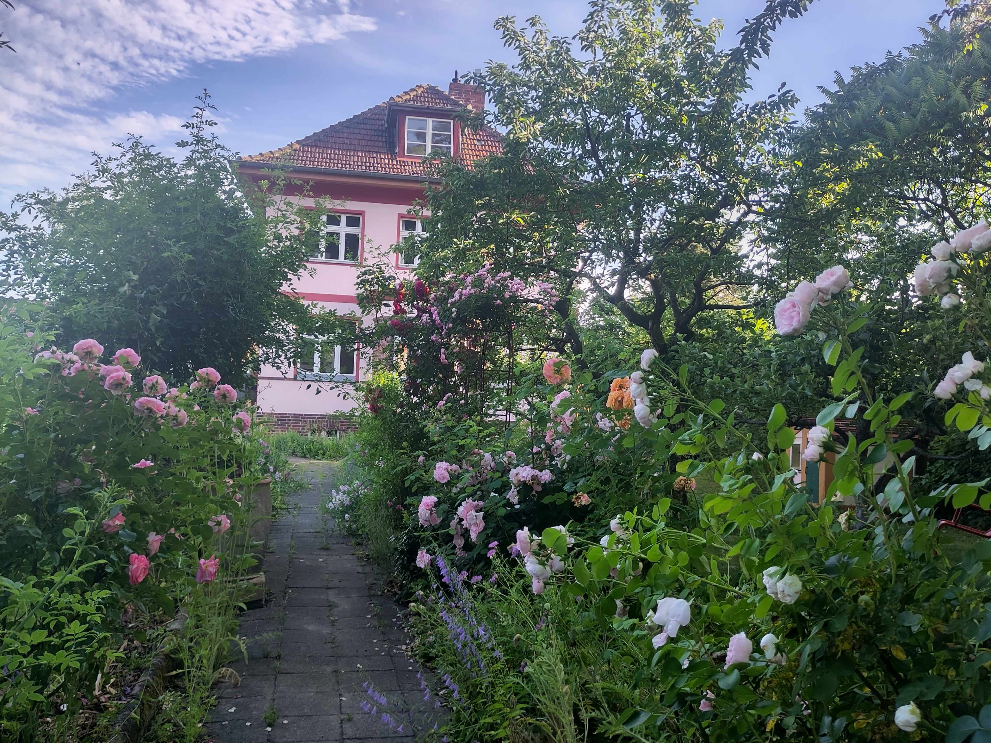 A path through a colorful garden of blooming flowers leads to a pink house with a red-tiled roof.