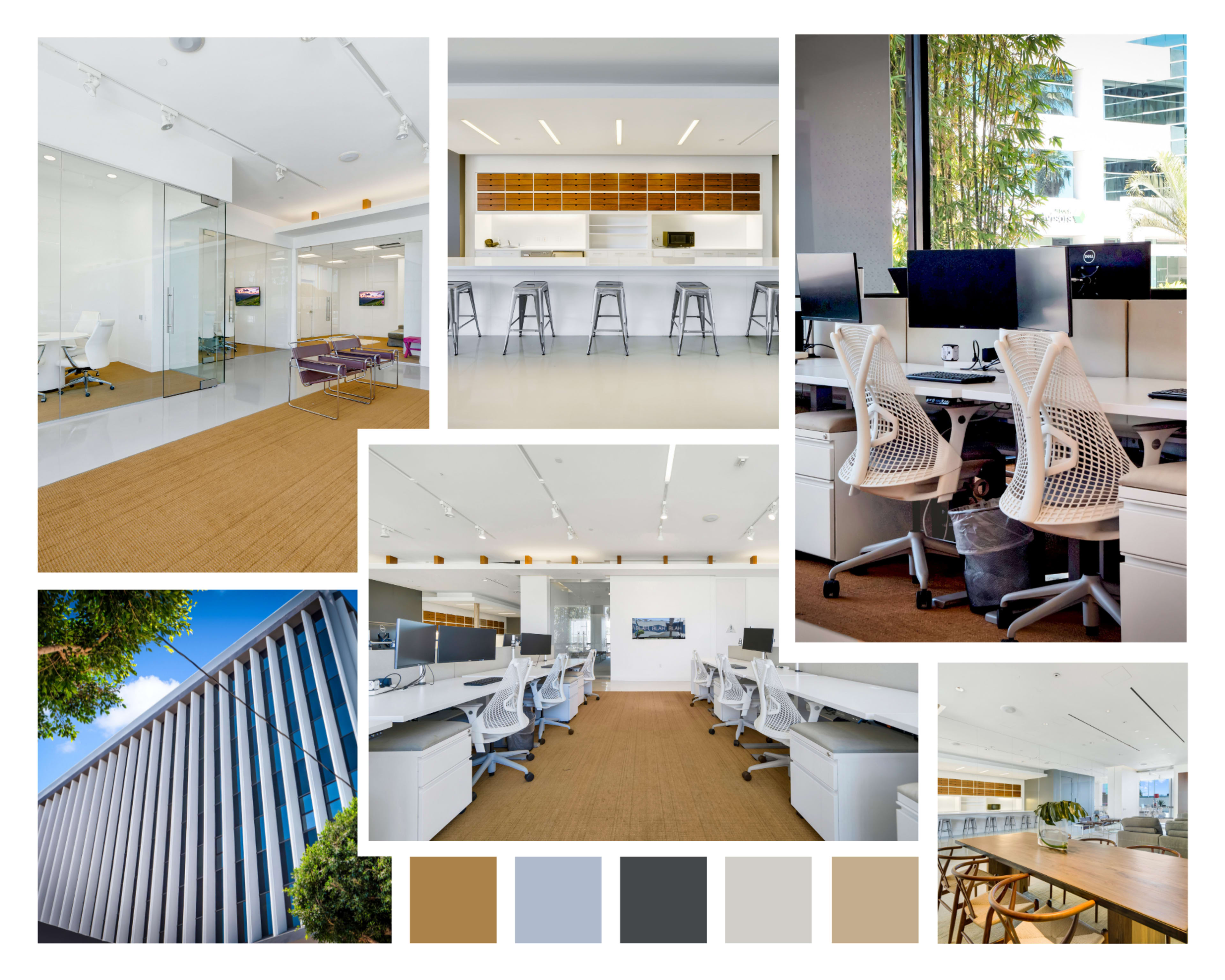 A modern office environment featuring glass-walled meeting rooms, open workspaces with ergonomic chairs, a minimalist kitchen area, and the building's architectural exterior.