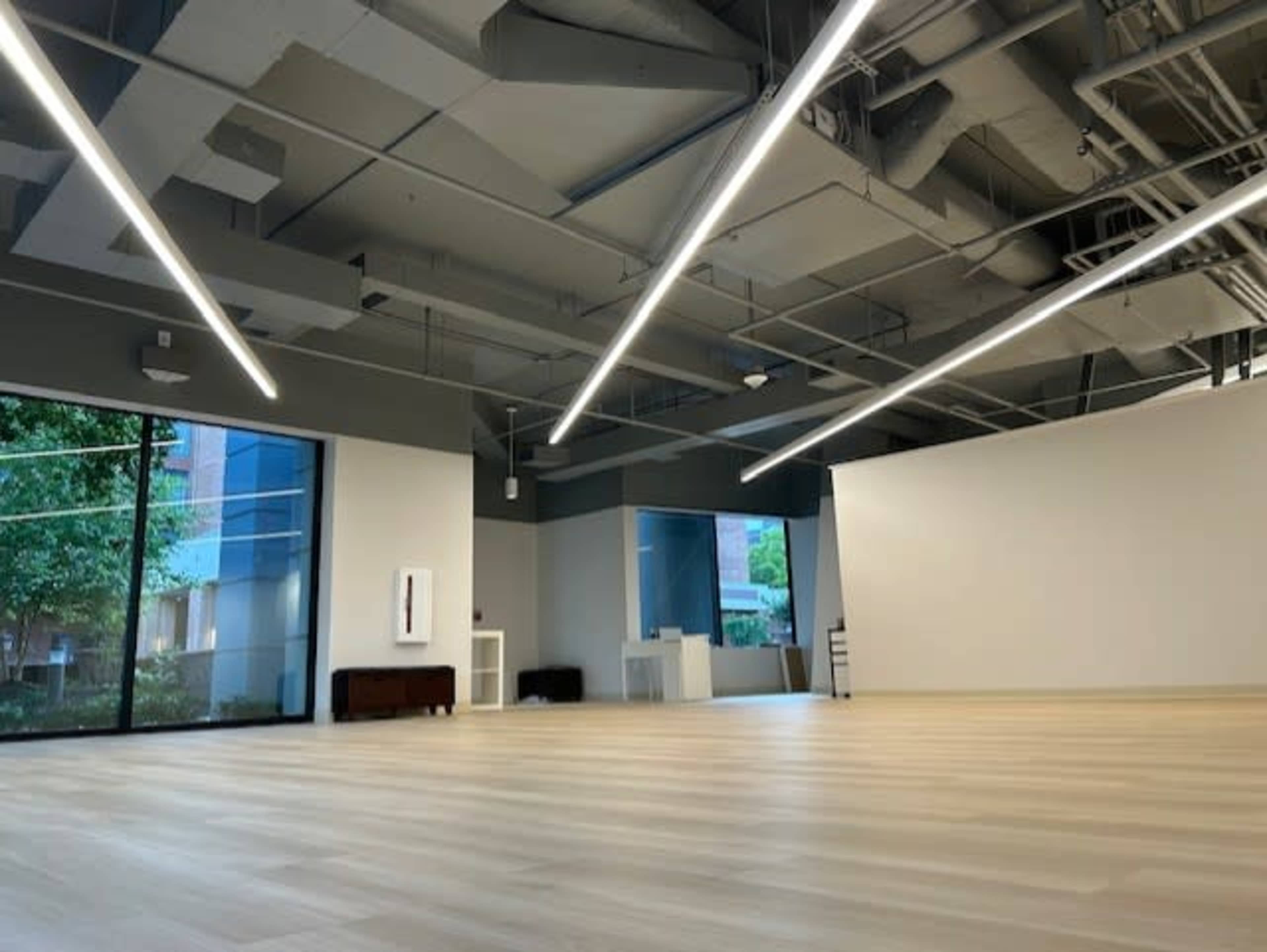 Light-Filled, Zen Studio & Lounge Image in Old Town North, Alexandria, VA