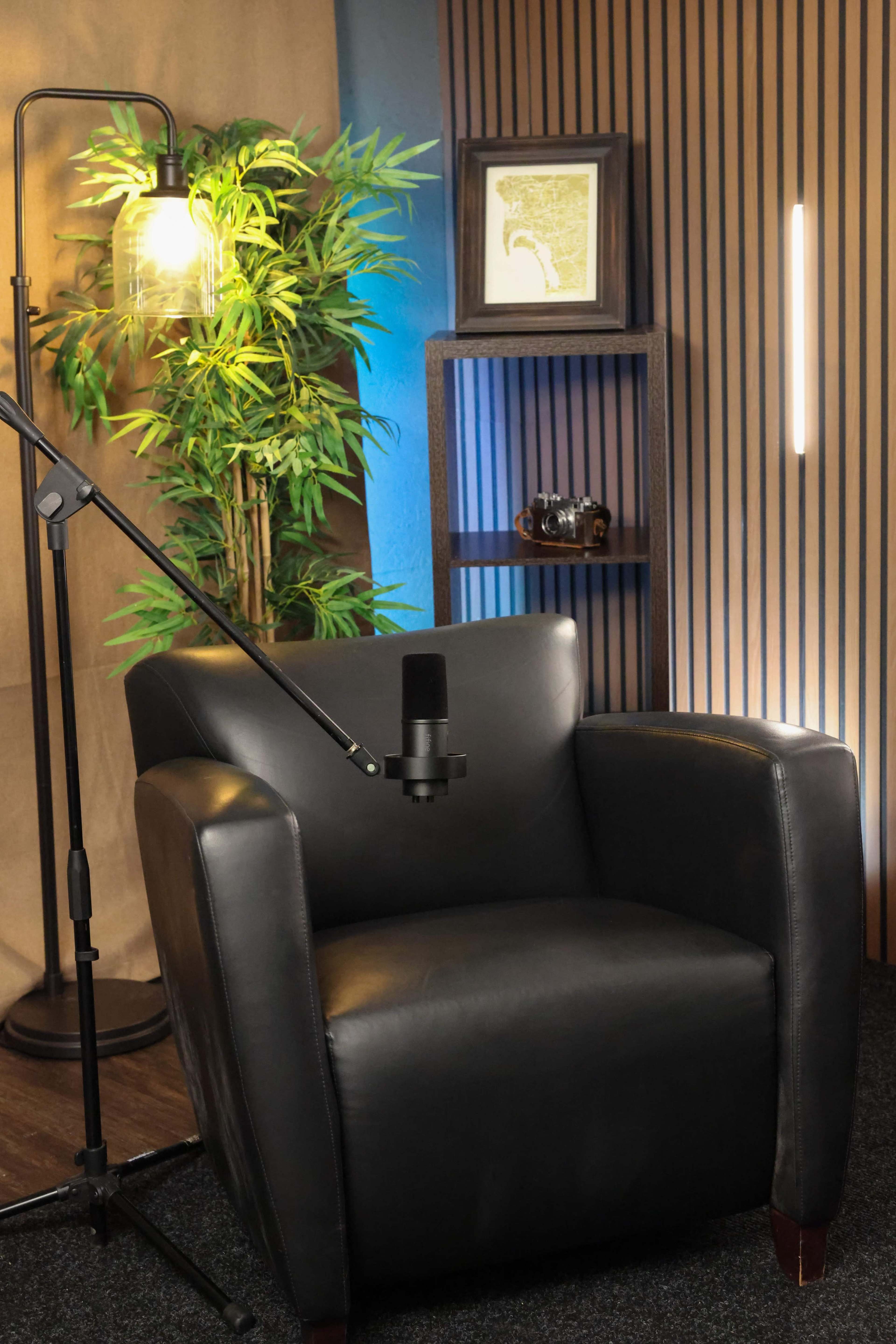 A black leather armchair is positioned beside a microphone on a stand, with a bamboo plant and shelves in the background.