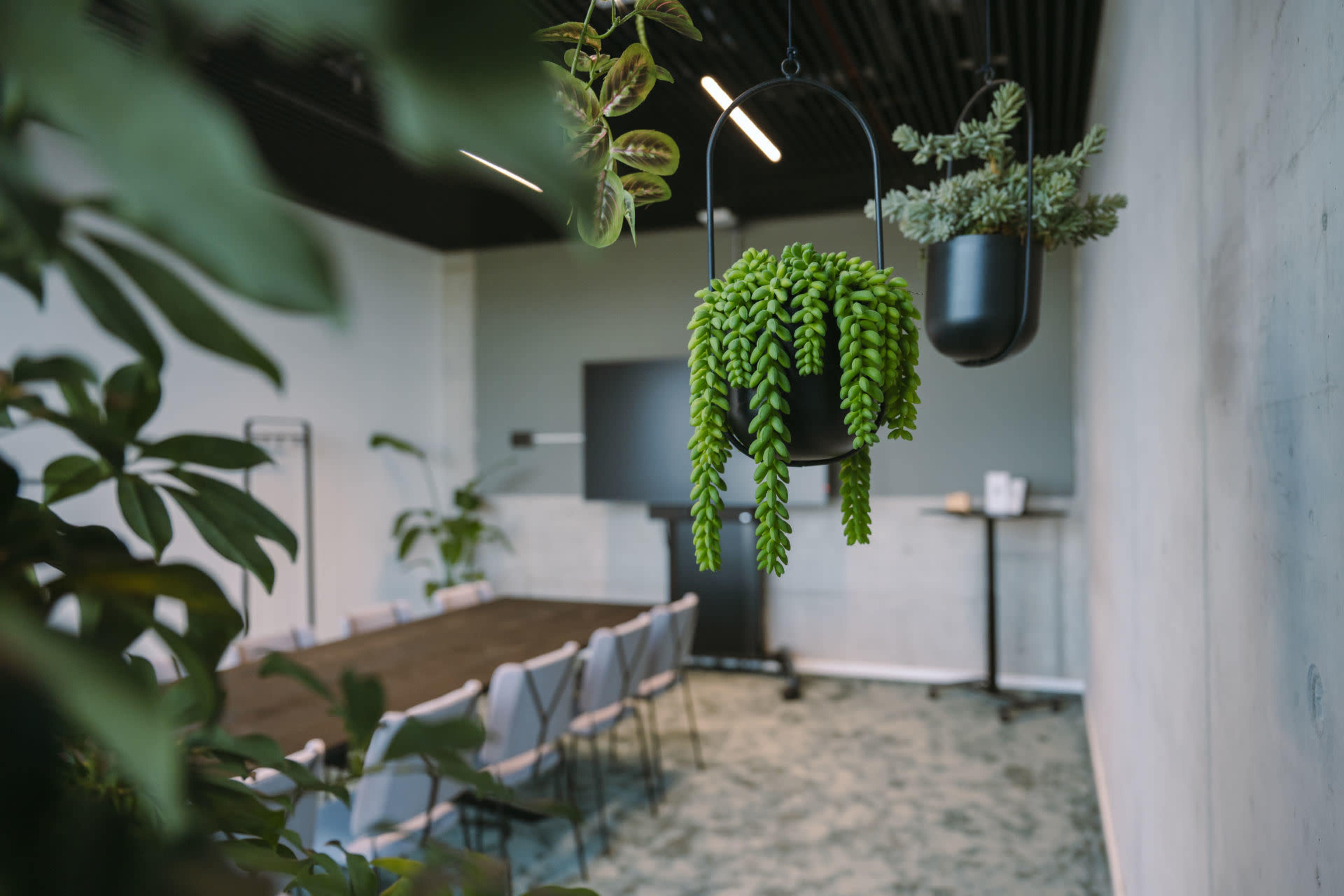 A modern conference room features a large table surrounded by chairs, with hanging plants and a screen on one wall.