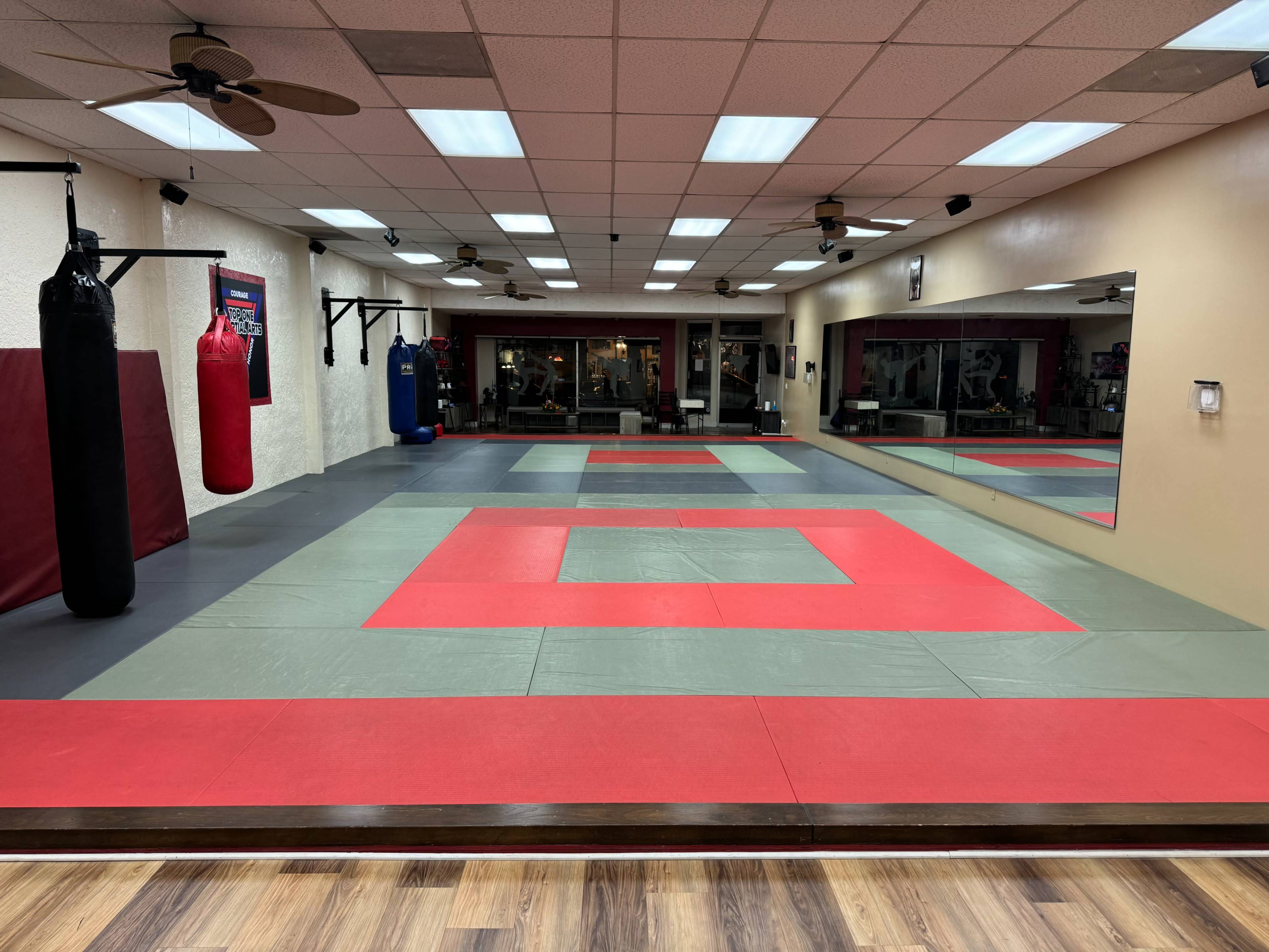A martial arts training gym with padded flooring, mirrors, and various training equipment including punching bags.
