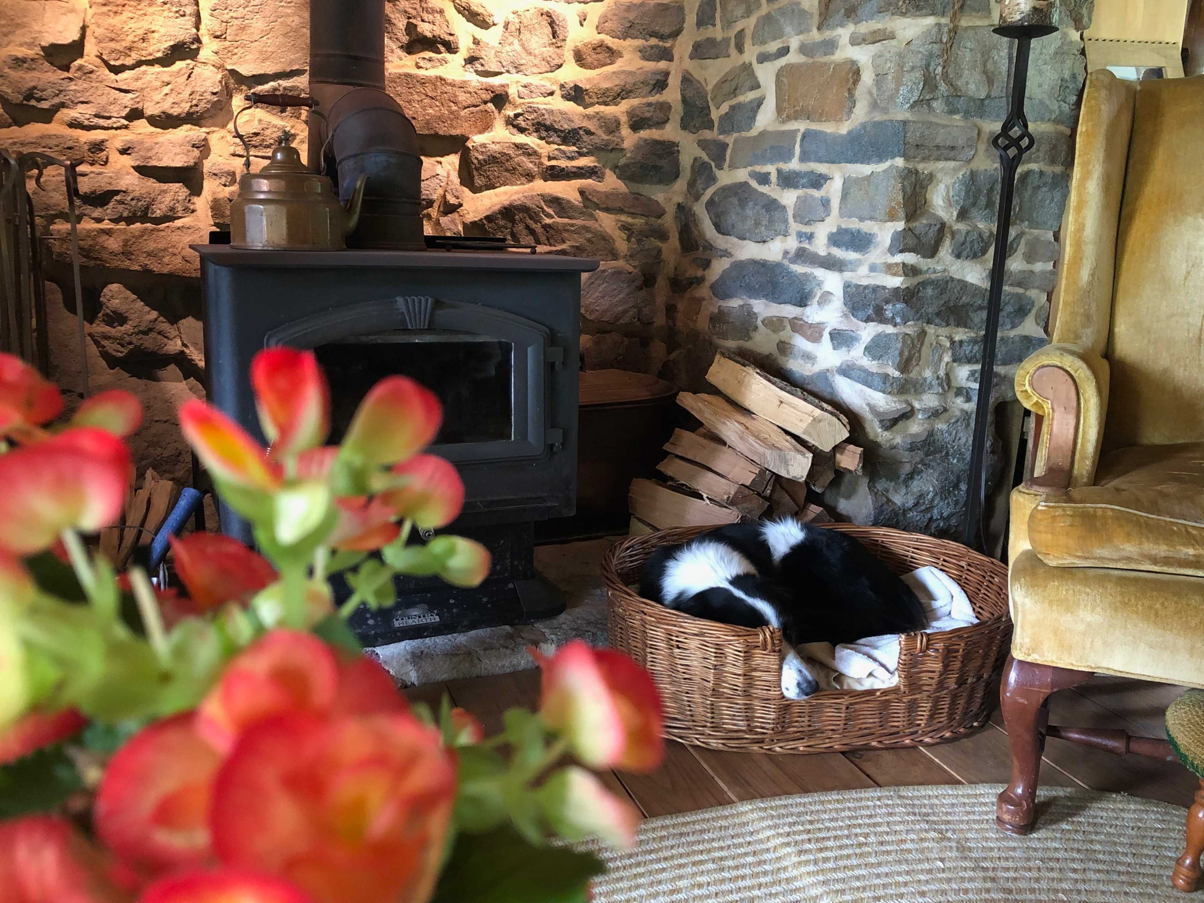 A dog is sleeping in a woven basket next to a wood stove in a cozy room with stone walls.