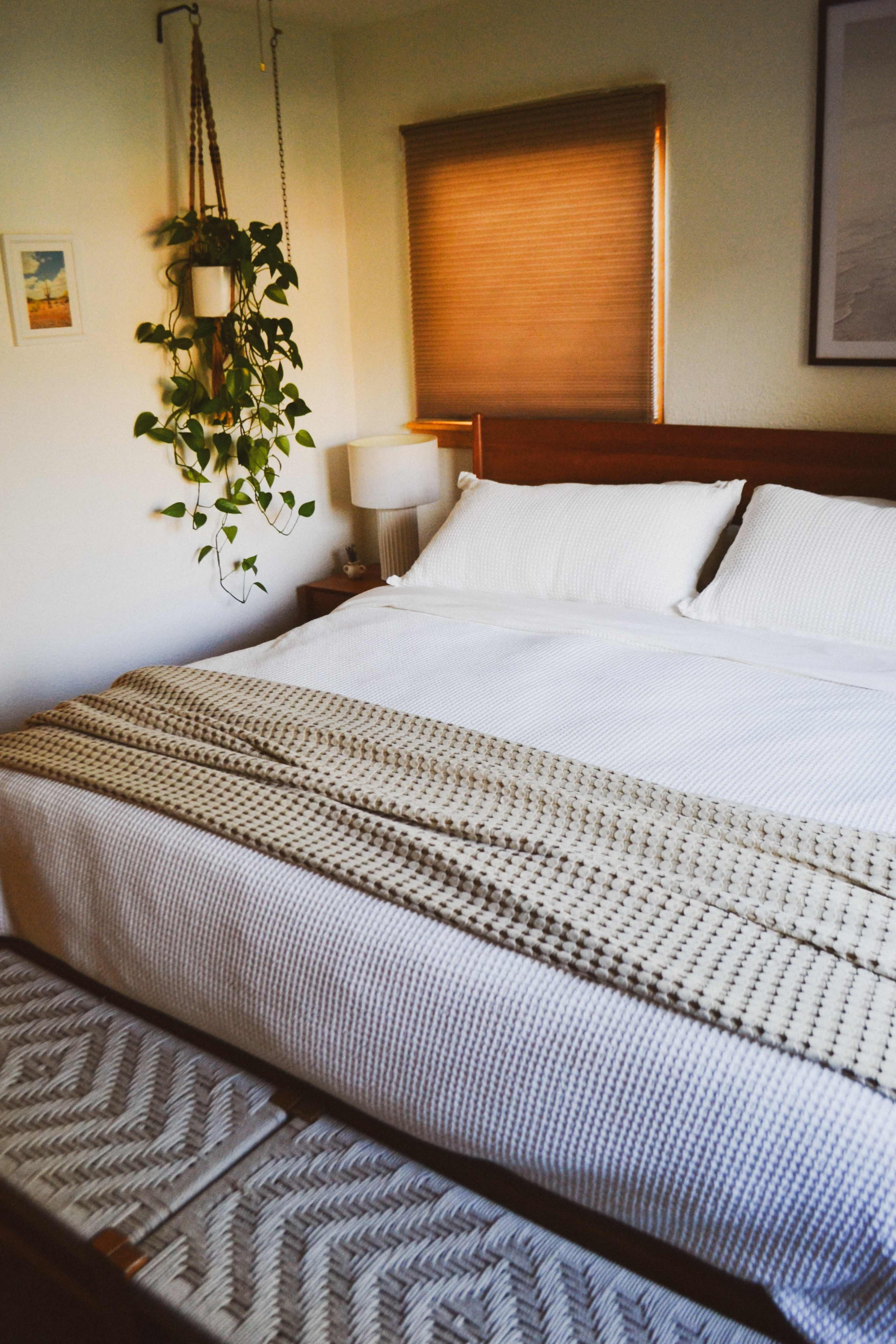 The image shows a neatly made bed with a textured blanket, positioned in a softly lit bedroom decorated with a plant and a window covered by shades.