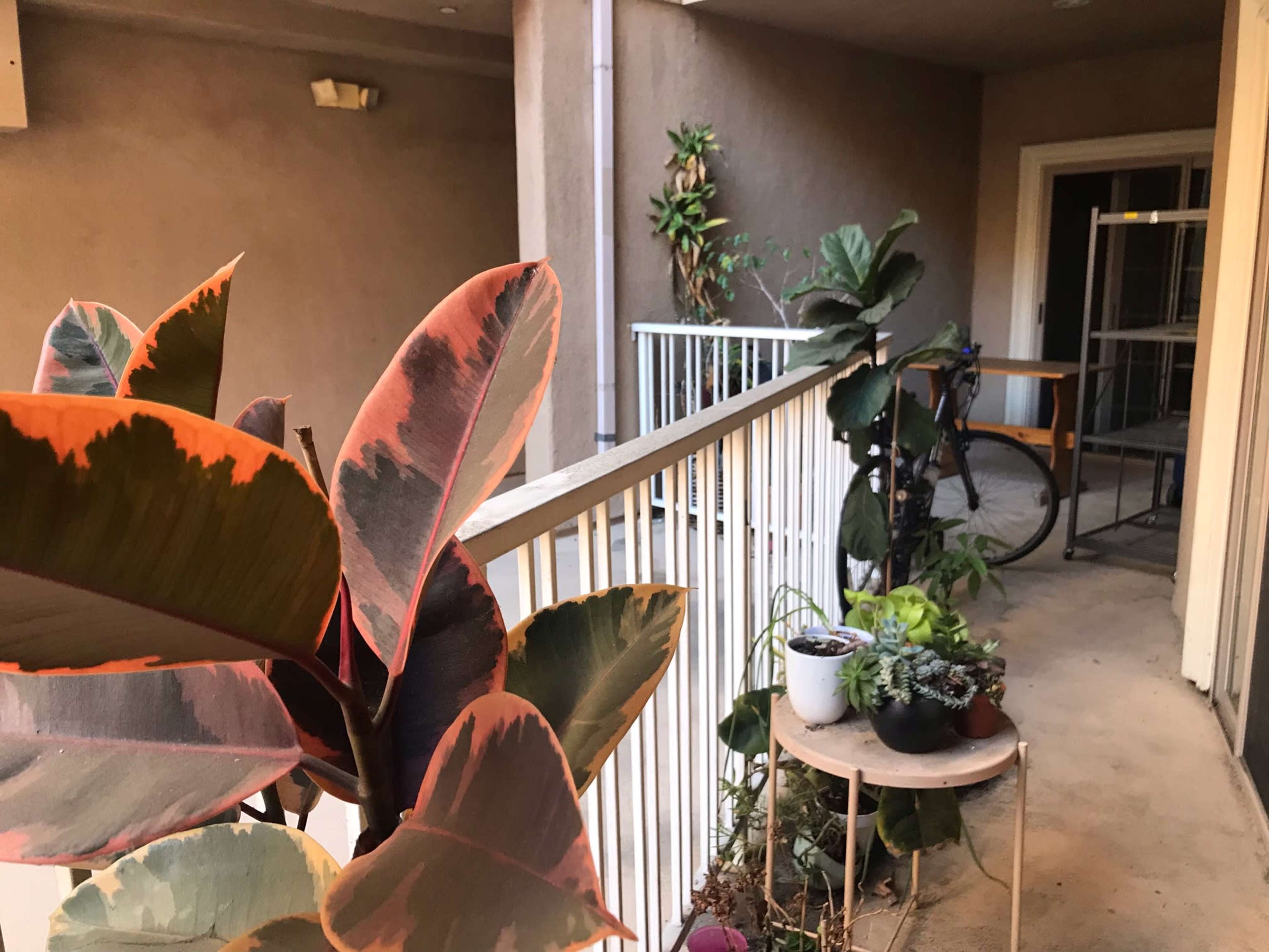 A balcony is visible, adorned with various potted plants, a bicycle, and a railing.