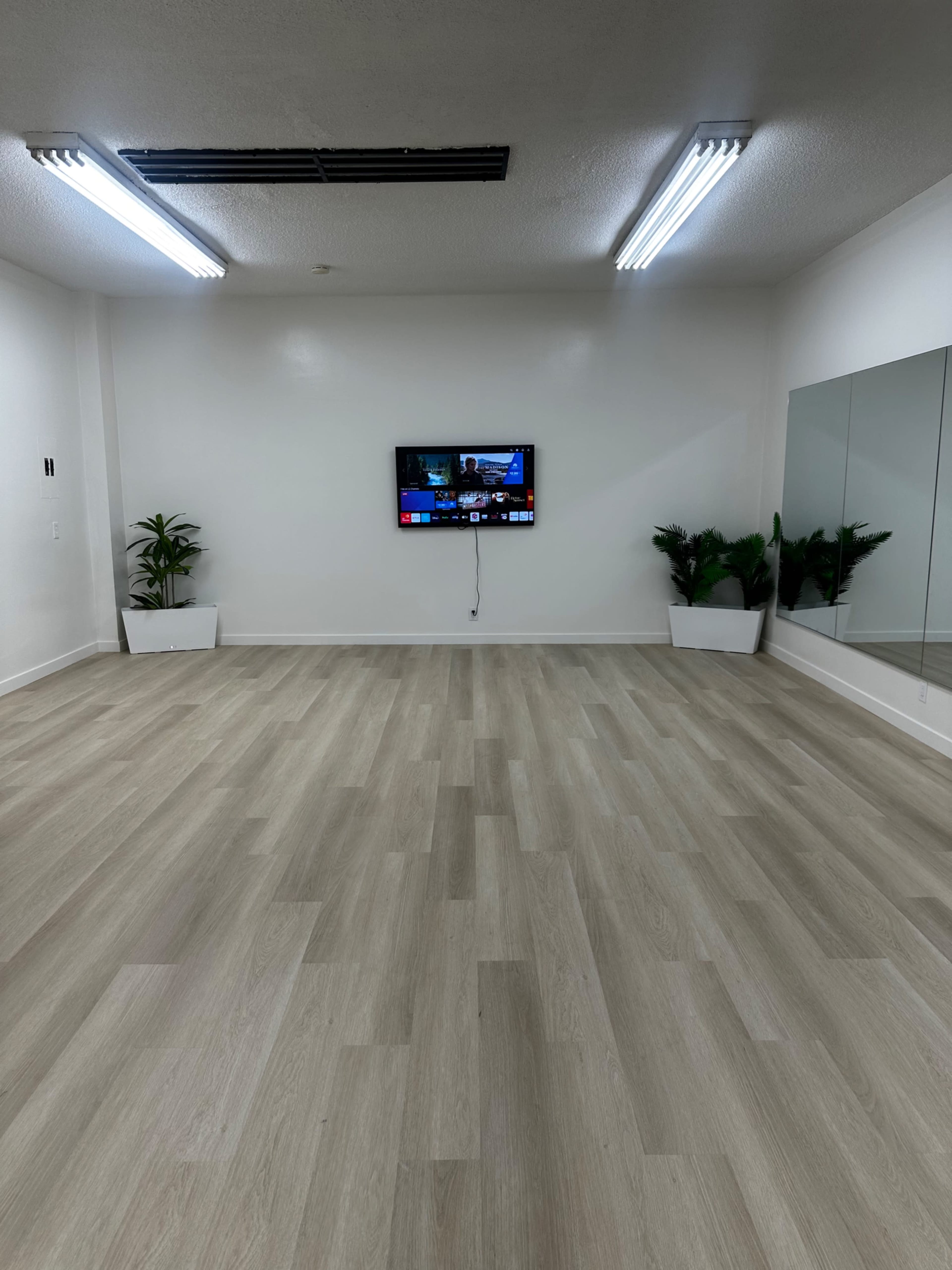 The image shows a spacious, empty room with light wood flooring, a wall-mounted television, and two large planters with plants in each corner.