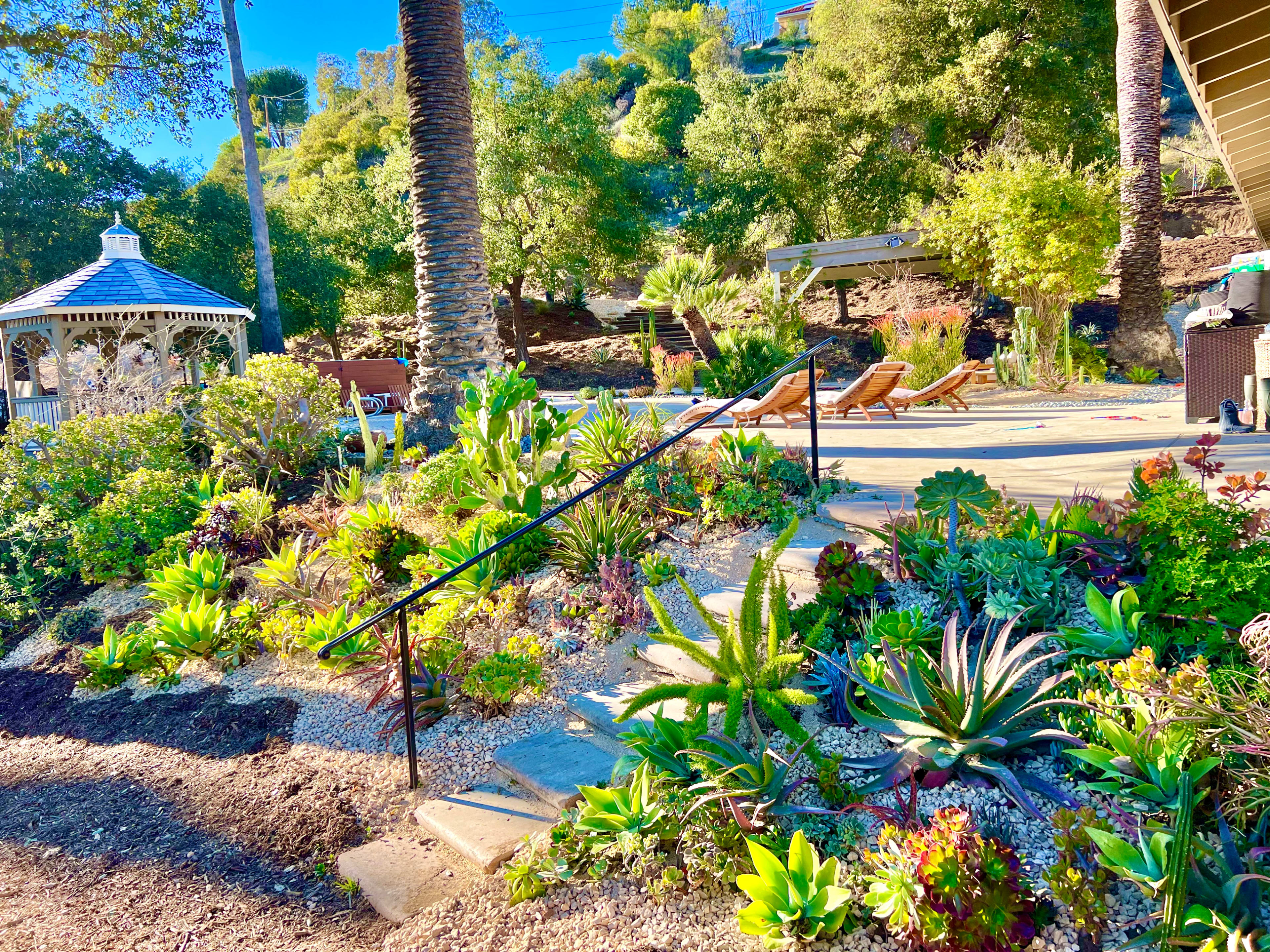 The scene features a landscaped garden with various succulents and a pathway leading to a wooden deck with lounge chairs and a gazebo in the background.