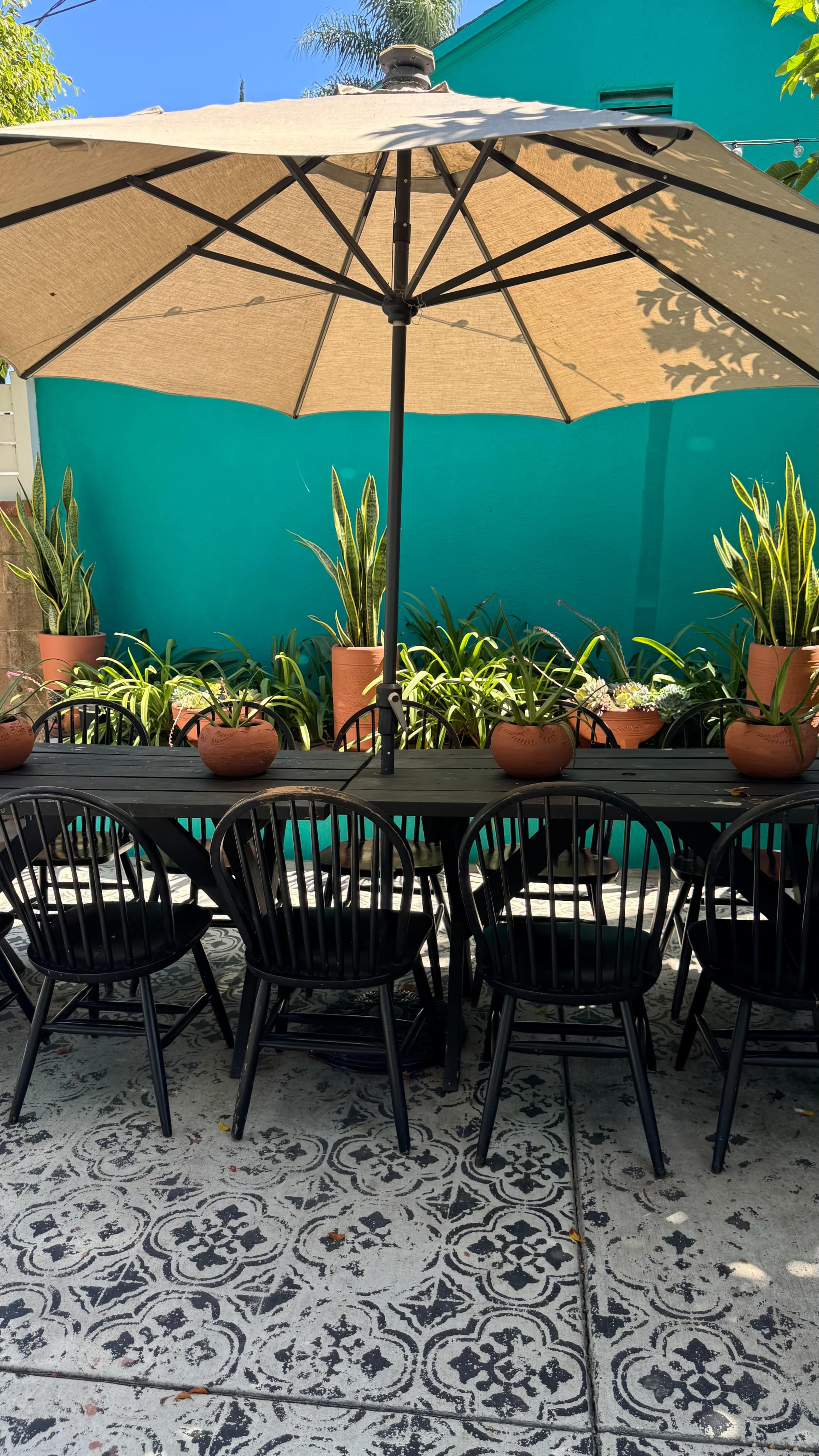 A long black table with several chairs is shaded by a large umbrella, surrounded by potted plants against a bright turquoise wall.