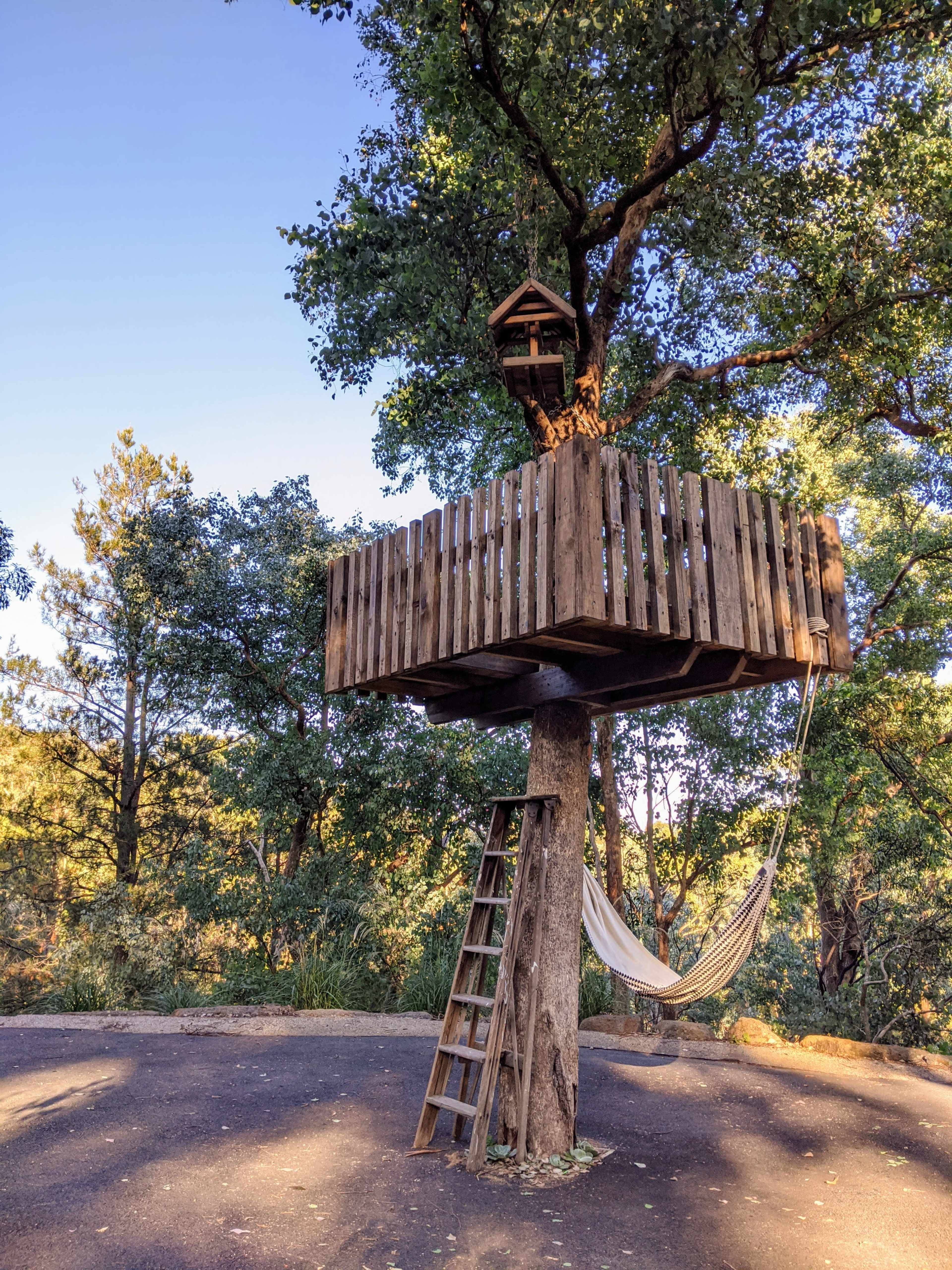 A wooden treehouse with a ladder and hammock is built around a large tree in a forested area.