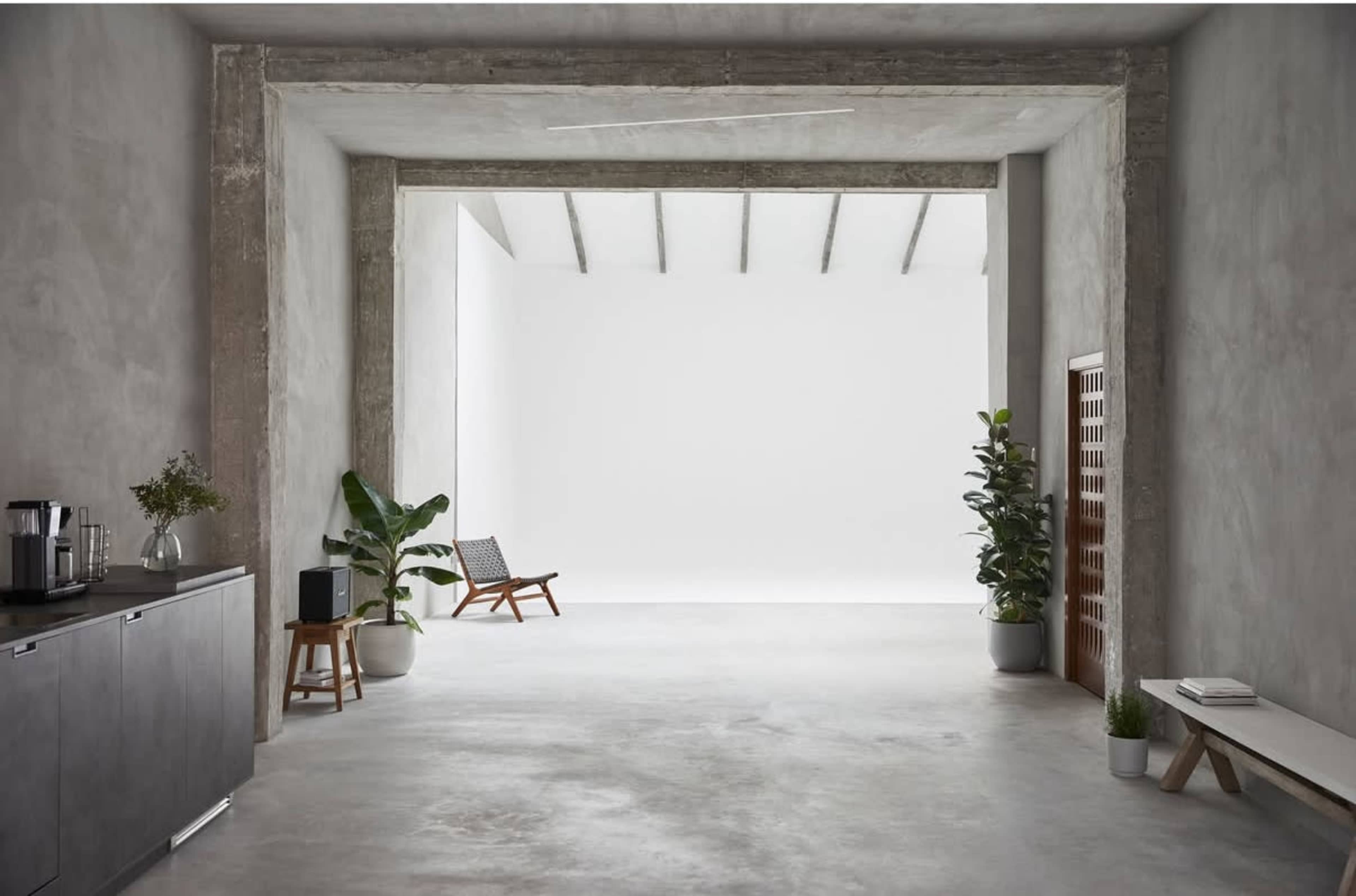 The image shows a minimalist interior space with concrete walls, wooden ceiling beams, and two potted plants beside a wooden chair, creating an open and spacious atmosphere.