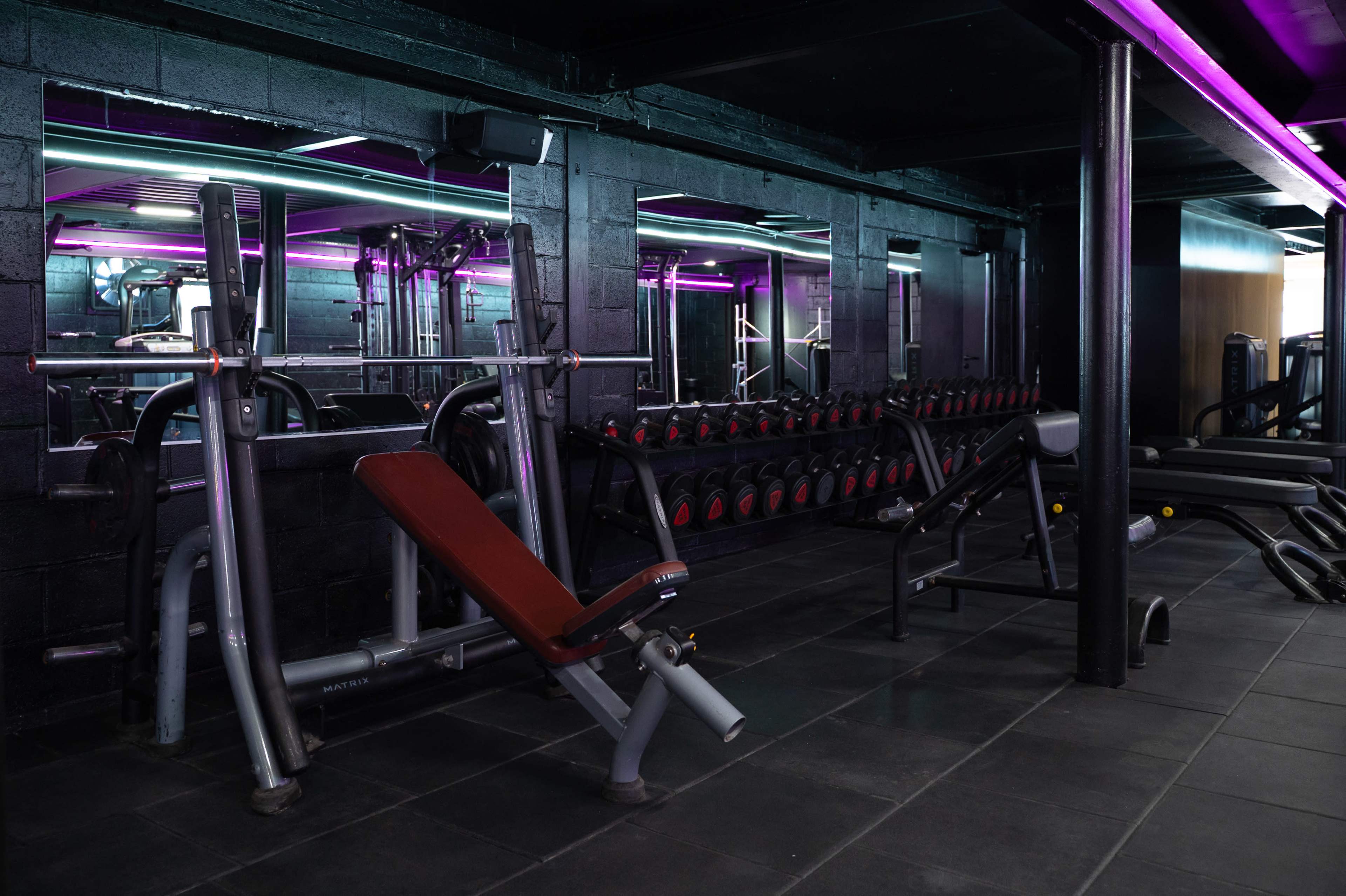 The image shows a modern gym interior featuring black walls, various exercise equipment, and a row of dumbbells with mirrored panels and purple lighting.