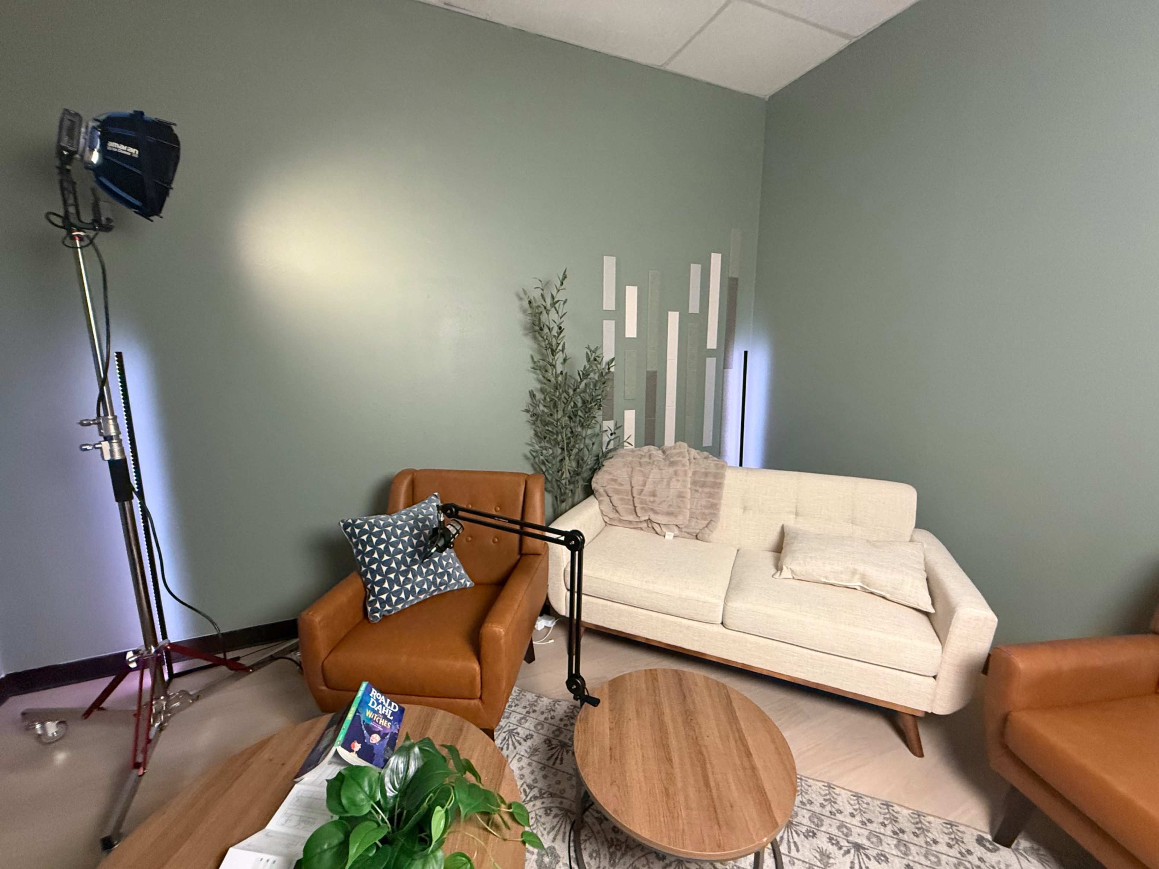 Living Room Style Podcast Space Image in Colleyville, Colleyville, TX