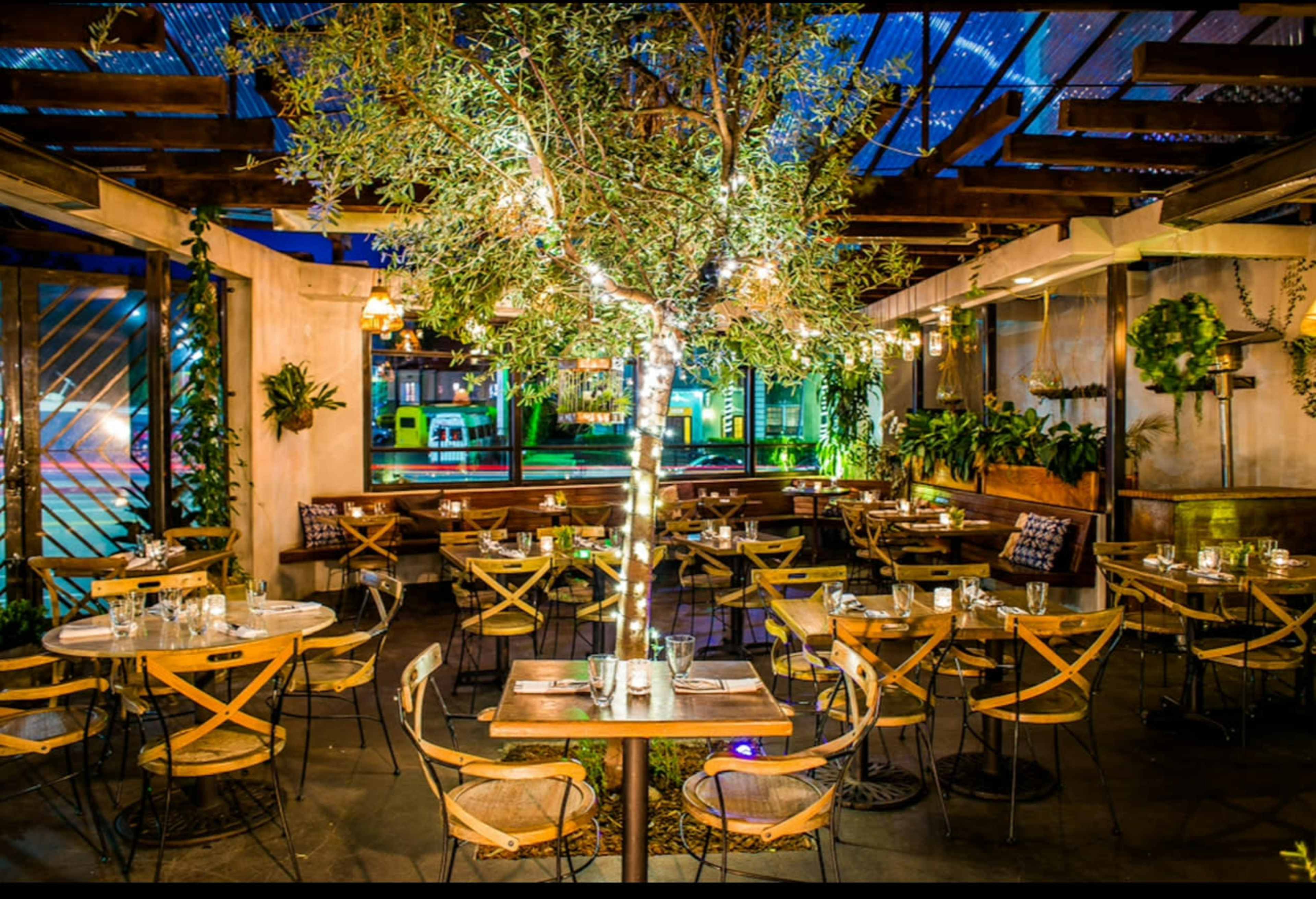 The image shows a restaurant indoor space featuring wooden tables and chairs, a central illuminated tree, and greenery throughout the area.