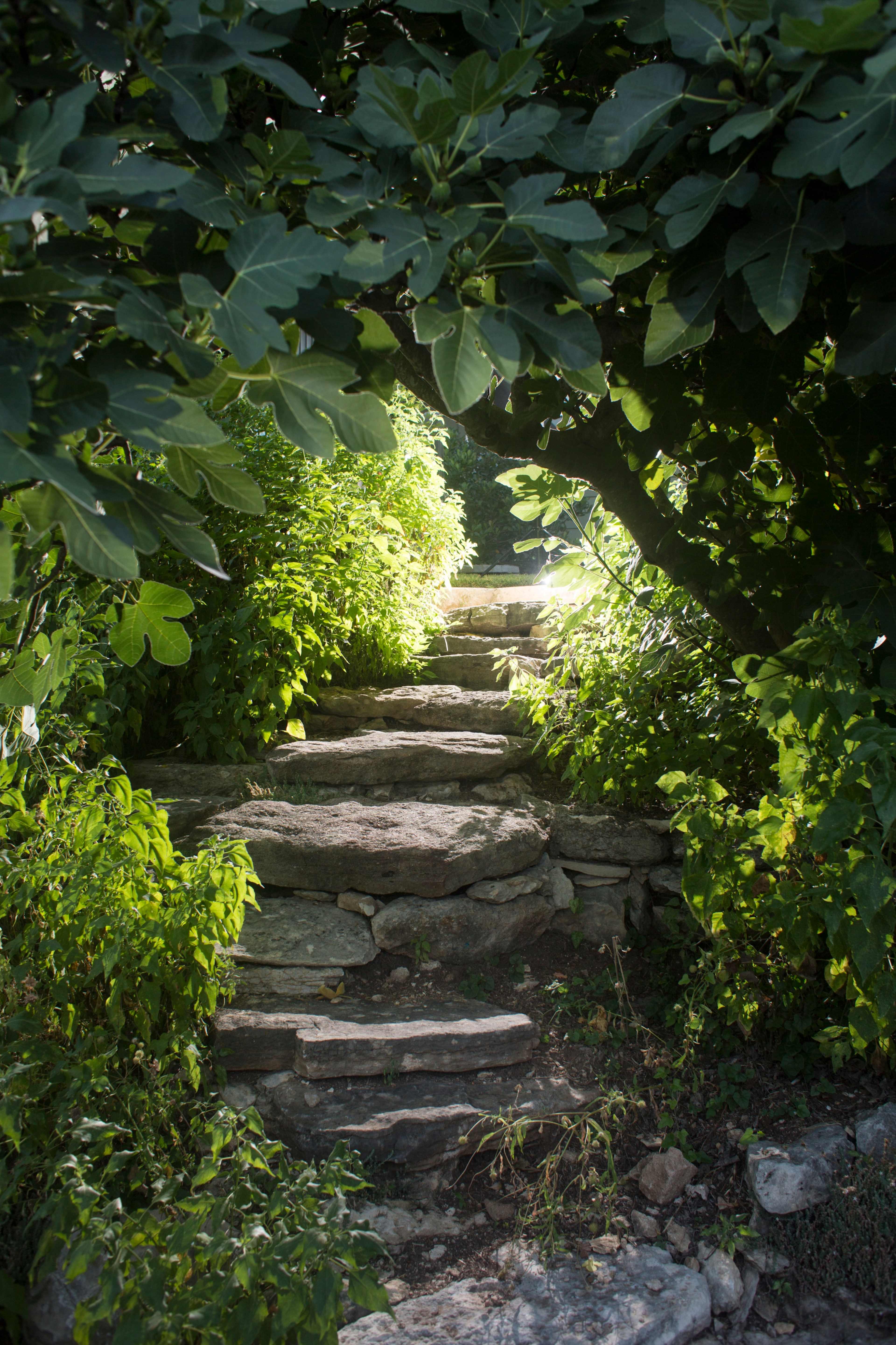 A stone pathway winds between dense vegetation, leading through a natural arch of foliage.