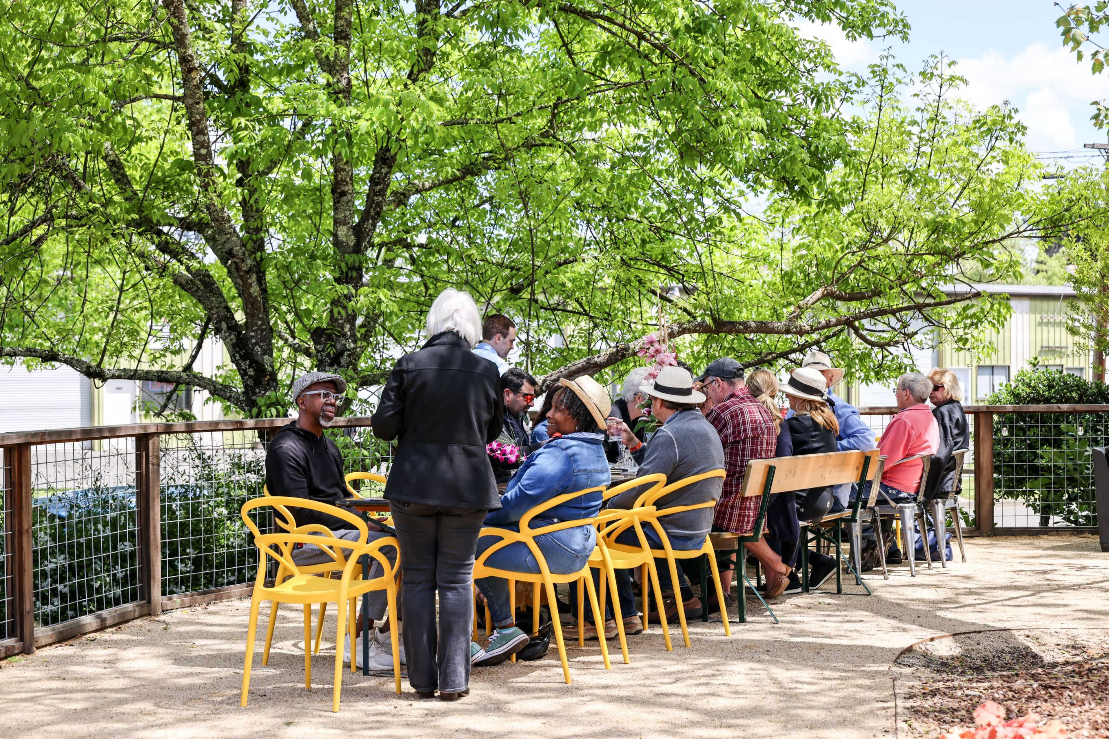 A group of people sits around yellow chairs at a table under a leafy tree, engaged in conversation.