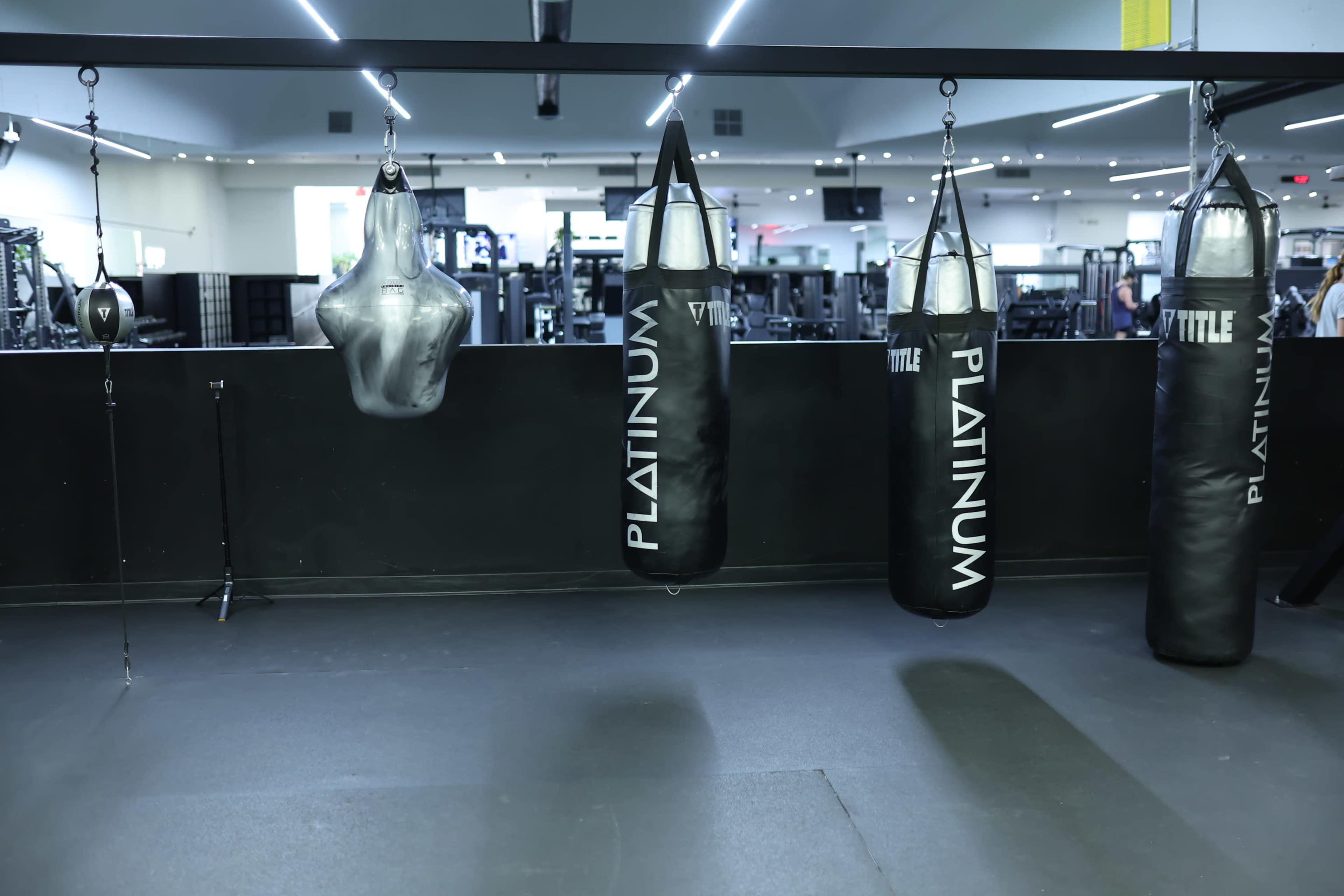 Full Boxing Setup – Ring, Bags & Training Area Image in South Scottsdale, Scottsdale, AZ
