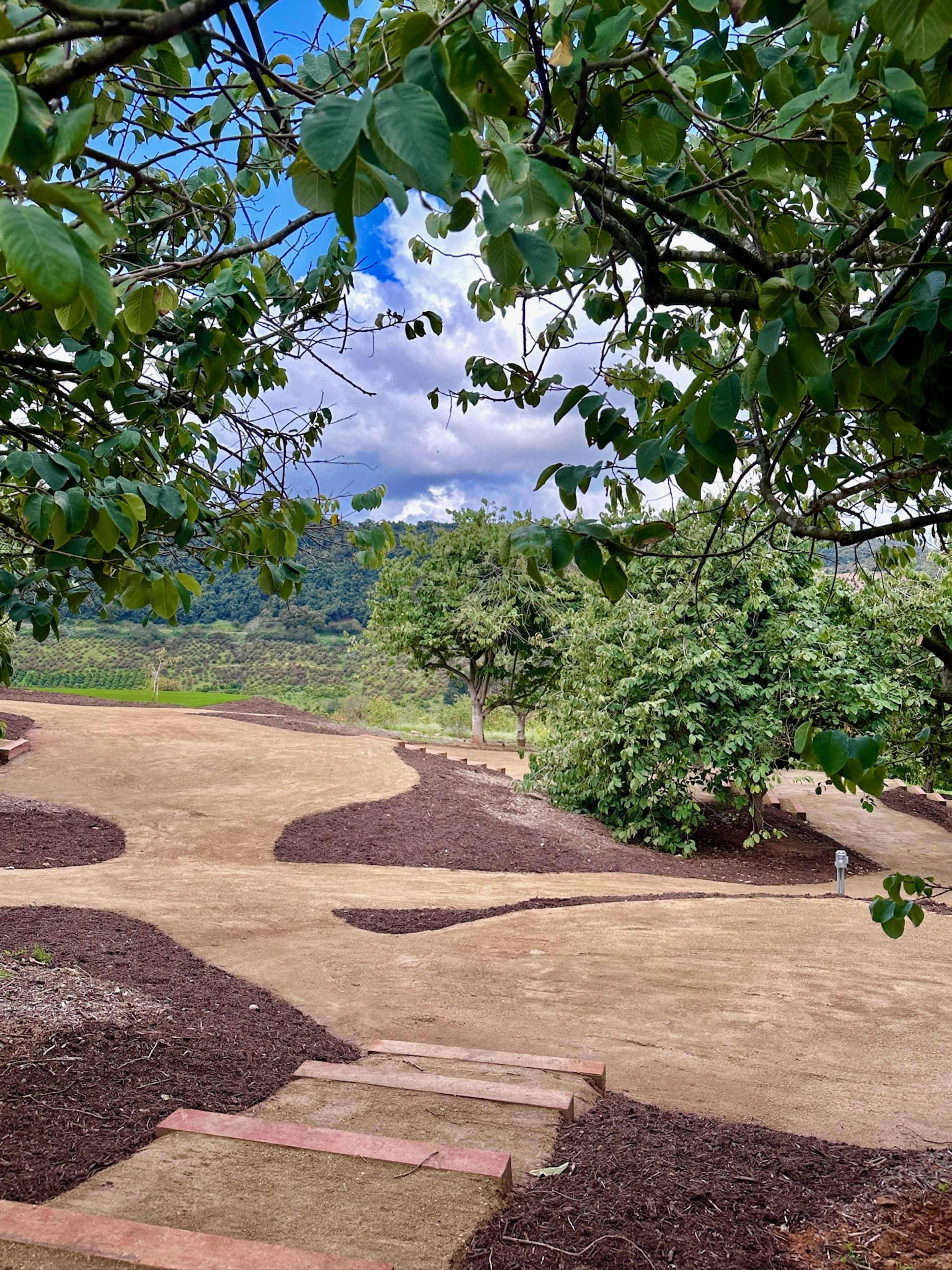 A pathway winding through a landscaped area with trees and greenery under a cloudy sky.