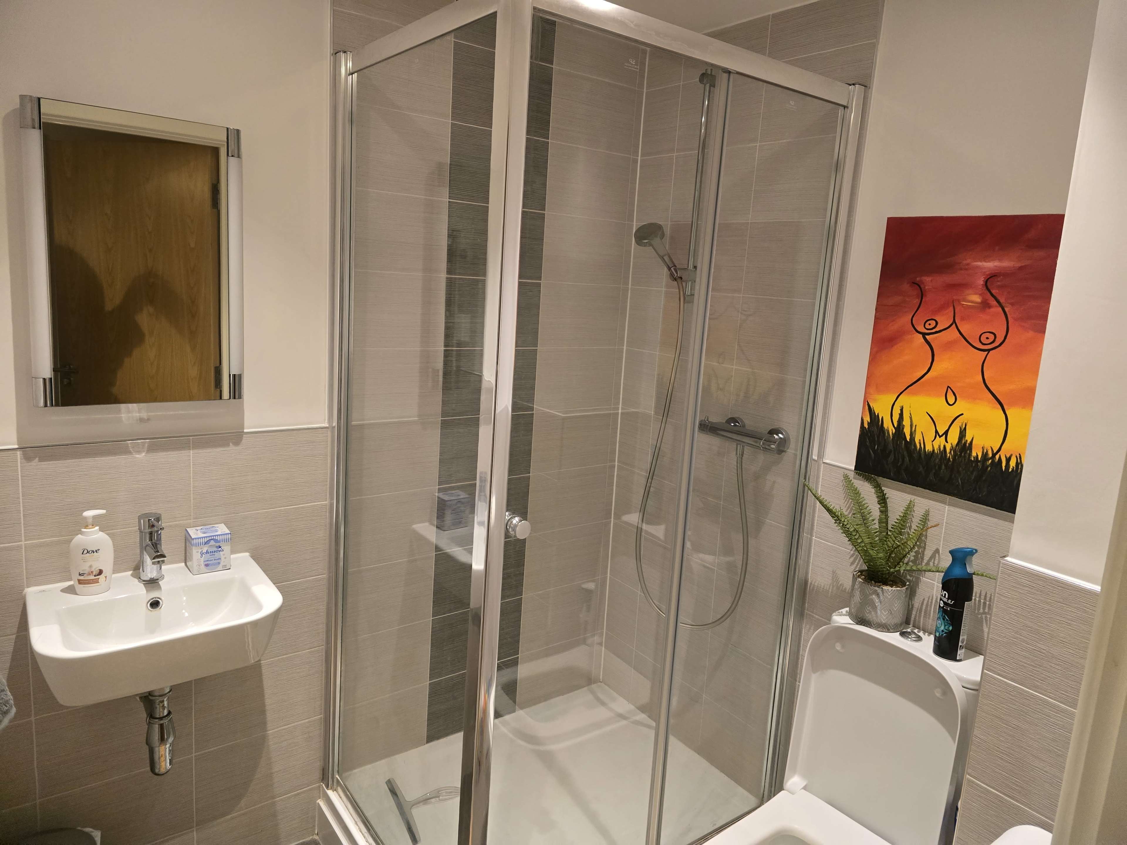 The image shows a modern bathroom featuring a glass shower enclosure, a small sink, a toilet, a mirror, and a wall with an abstract painting.
