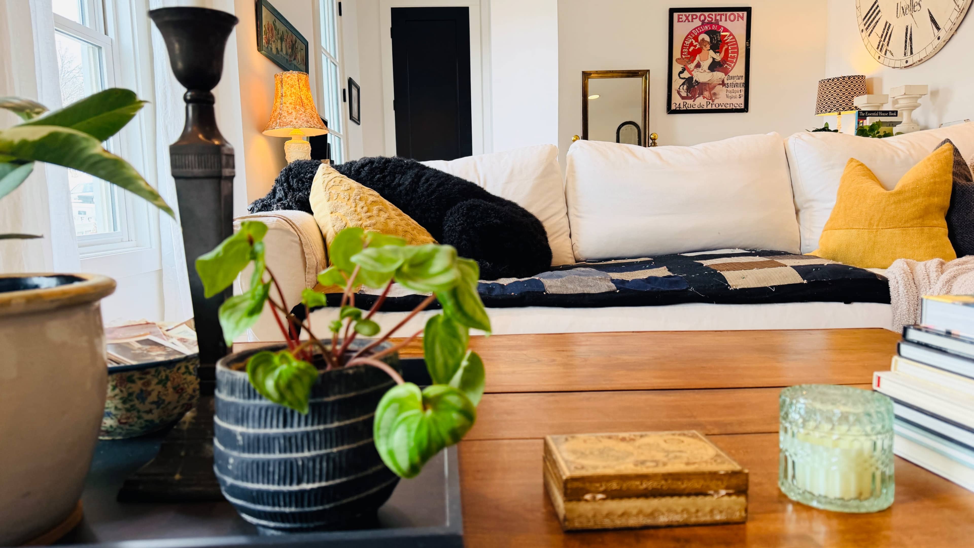 A cozy living room features a white couch with a patterned throw blanket, a potted plant in the foreground, and a wooden coffee table adorned with books and decorative items.