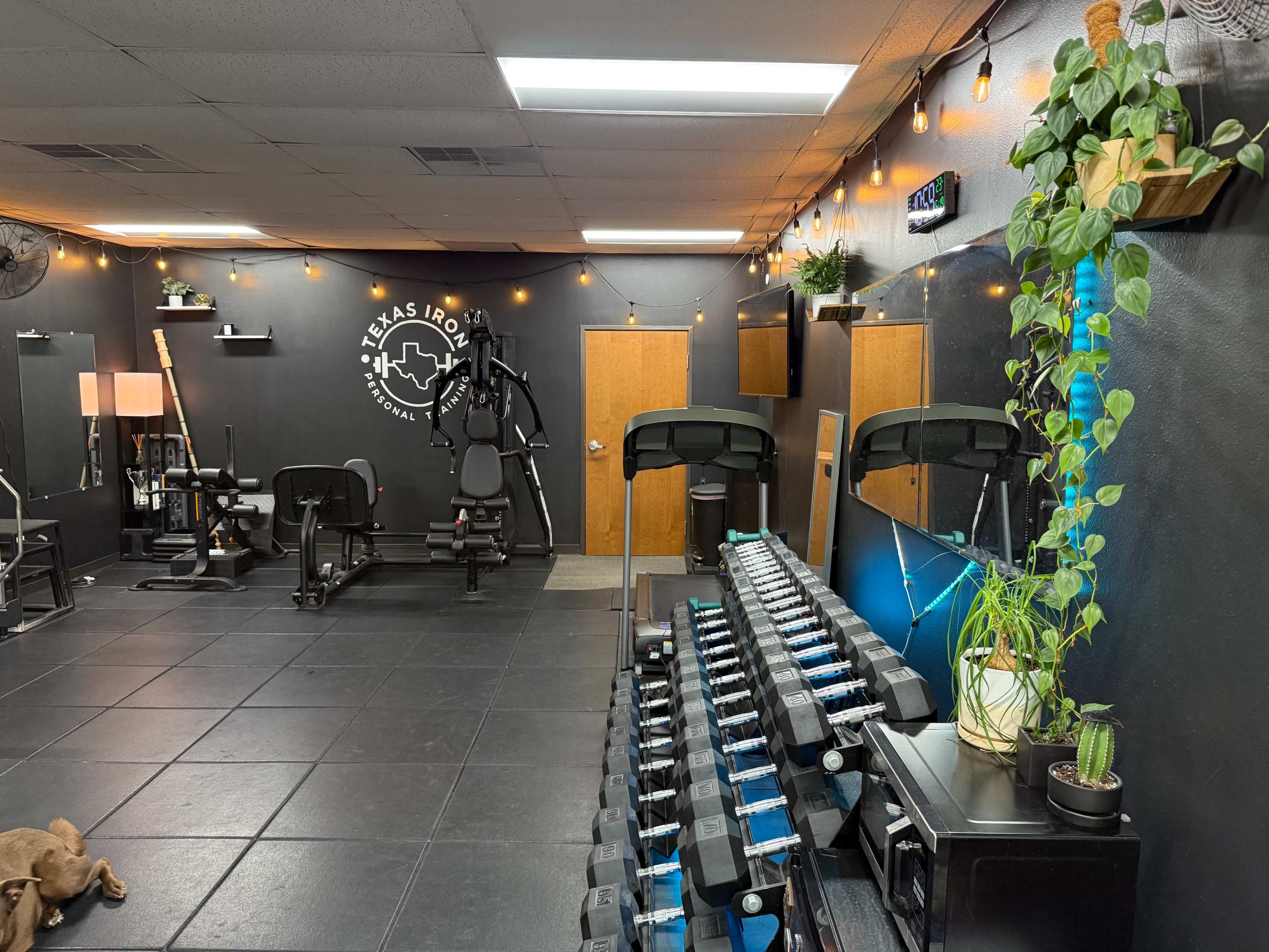 Private Gym Studio - Premium Equipment Image in North Loop, Austin, TX