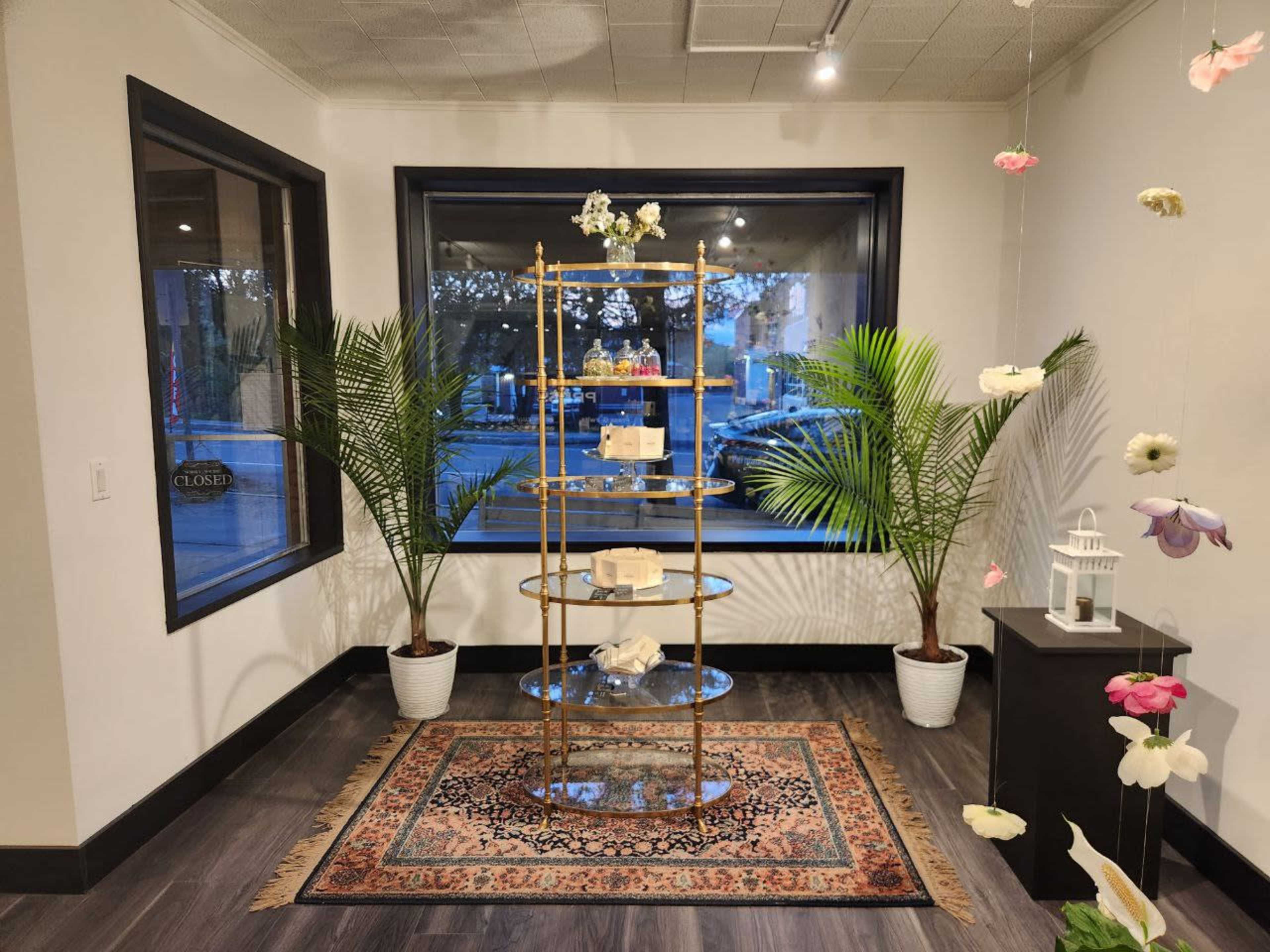 A well-organized display shelf in a bright room with decorative plants and a rug, framed by large windows.