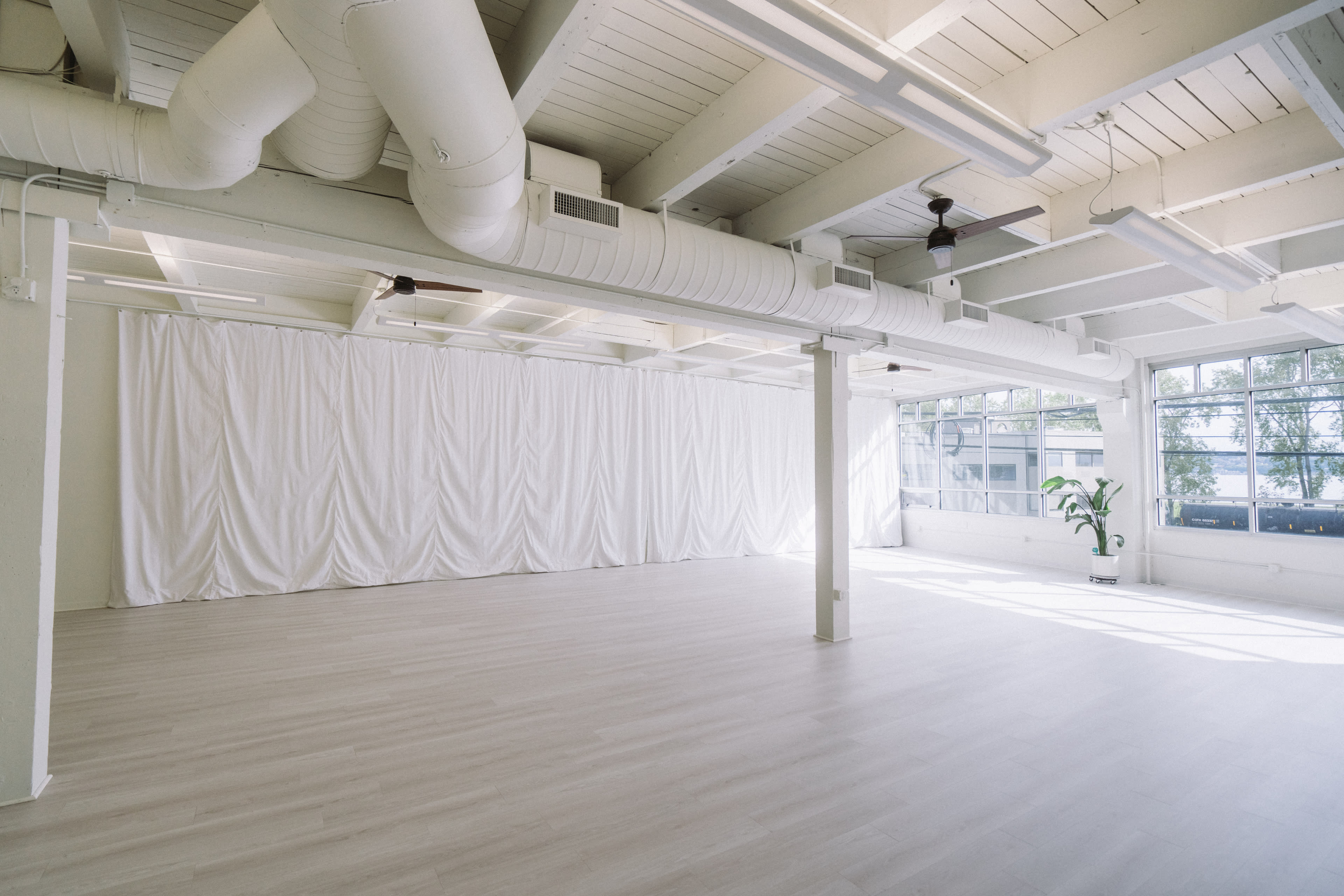 A spacious, well-lit studio with white walls, a large window, and a potted plant in the corner.