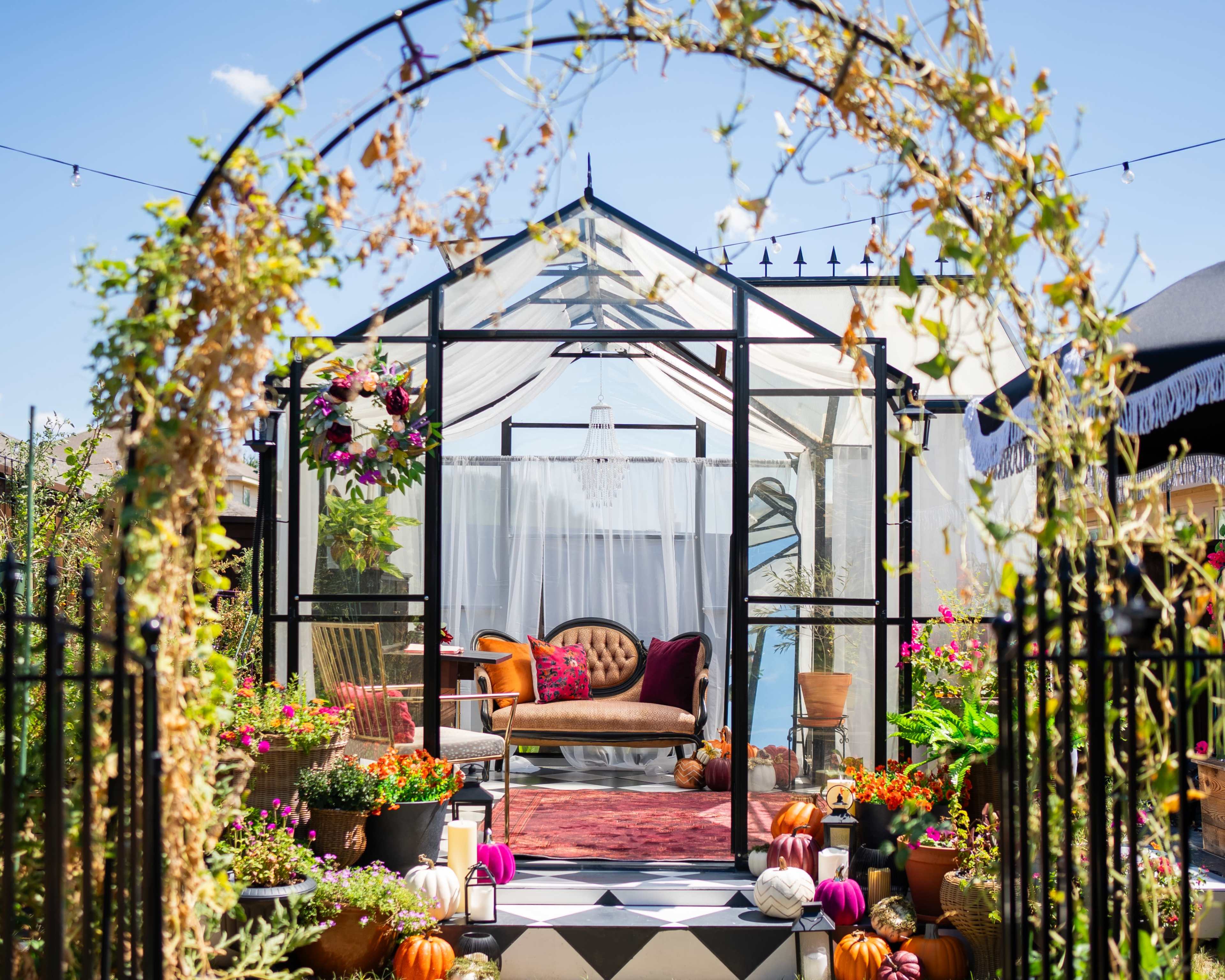 A glass greenhouse with a cozy seating area is framed by an arch adorned with climbing vines and various potted plants.