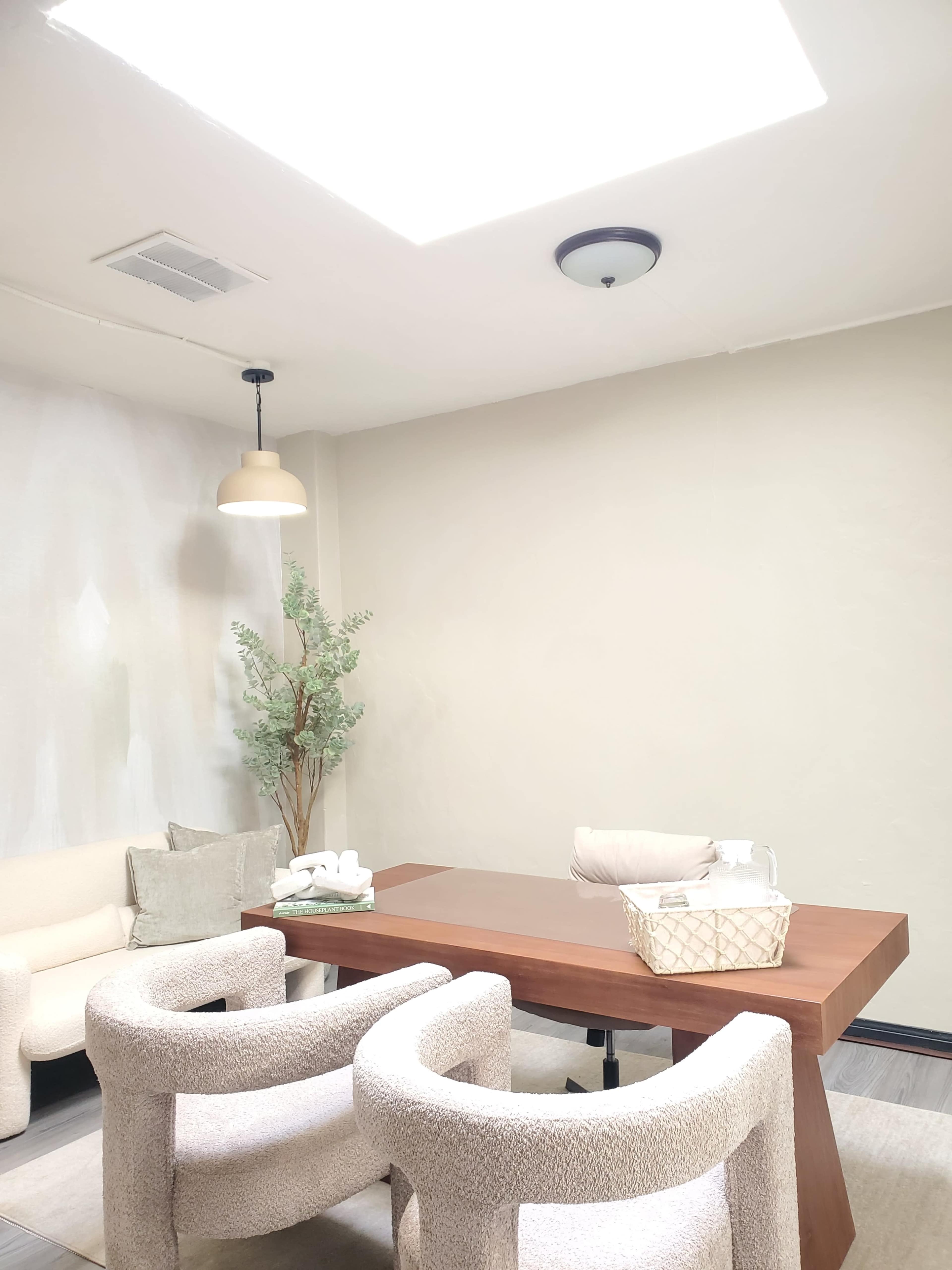 The room features a wooden table surrounded by two armchairs, with a skylight and potted plant providing natural light.