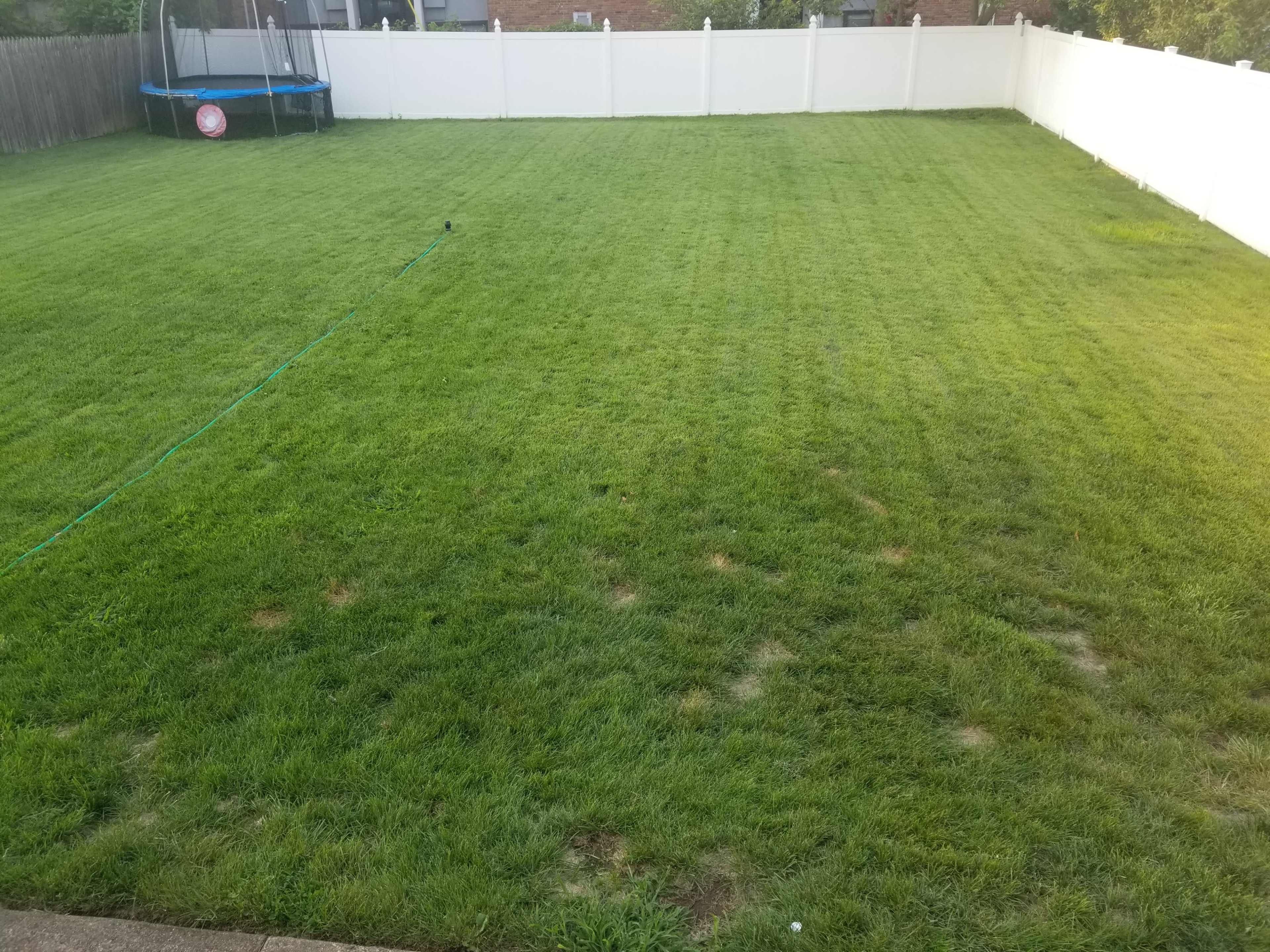 The image shows a spacious, green backyard with a trampoline in the corner and a white fence surrounding the area.