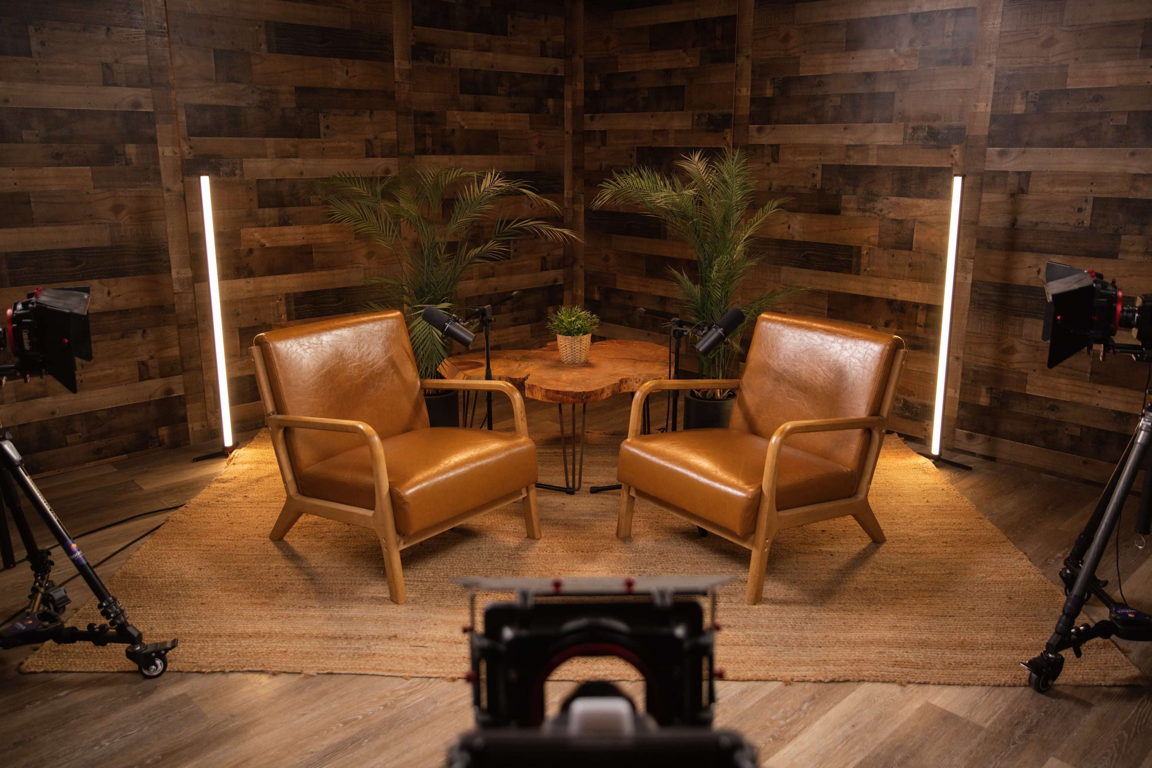 The image shows a cozy interview setup with two brown leather chairs facing a wooden table surrounded by potted plants and illuminated by soft lighting.