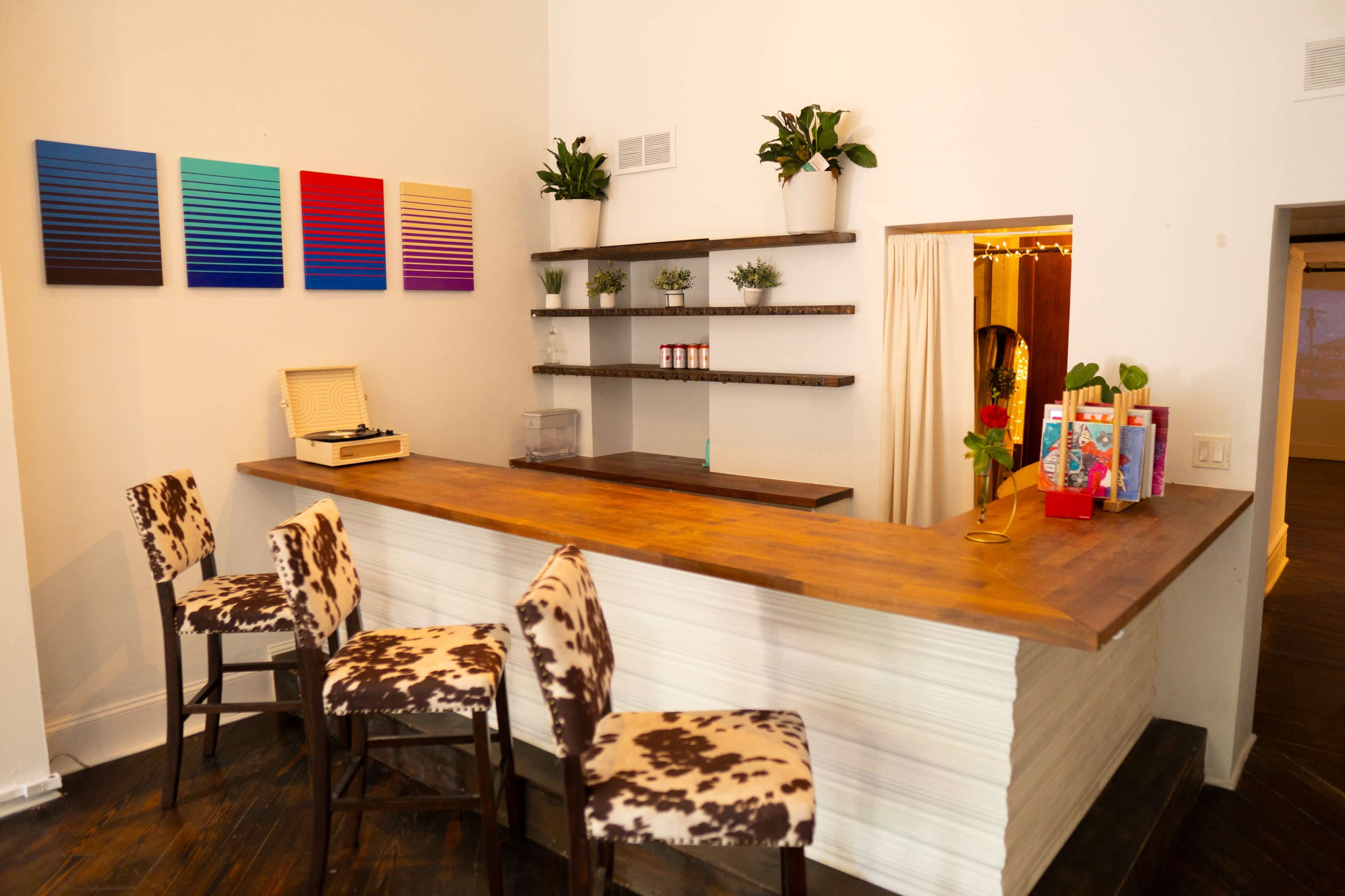 A wooden bar with cow-print stools sits in front of a wall adorned with gradient artwork and shelves filled with potted plants.