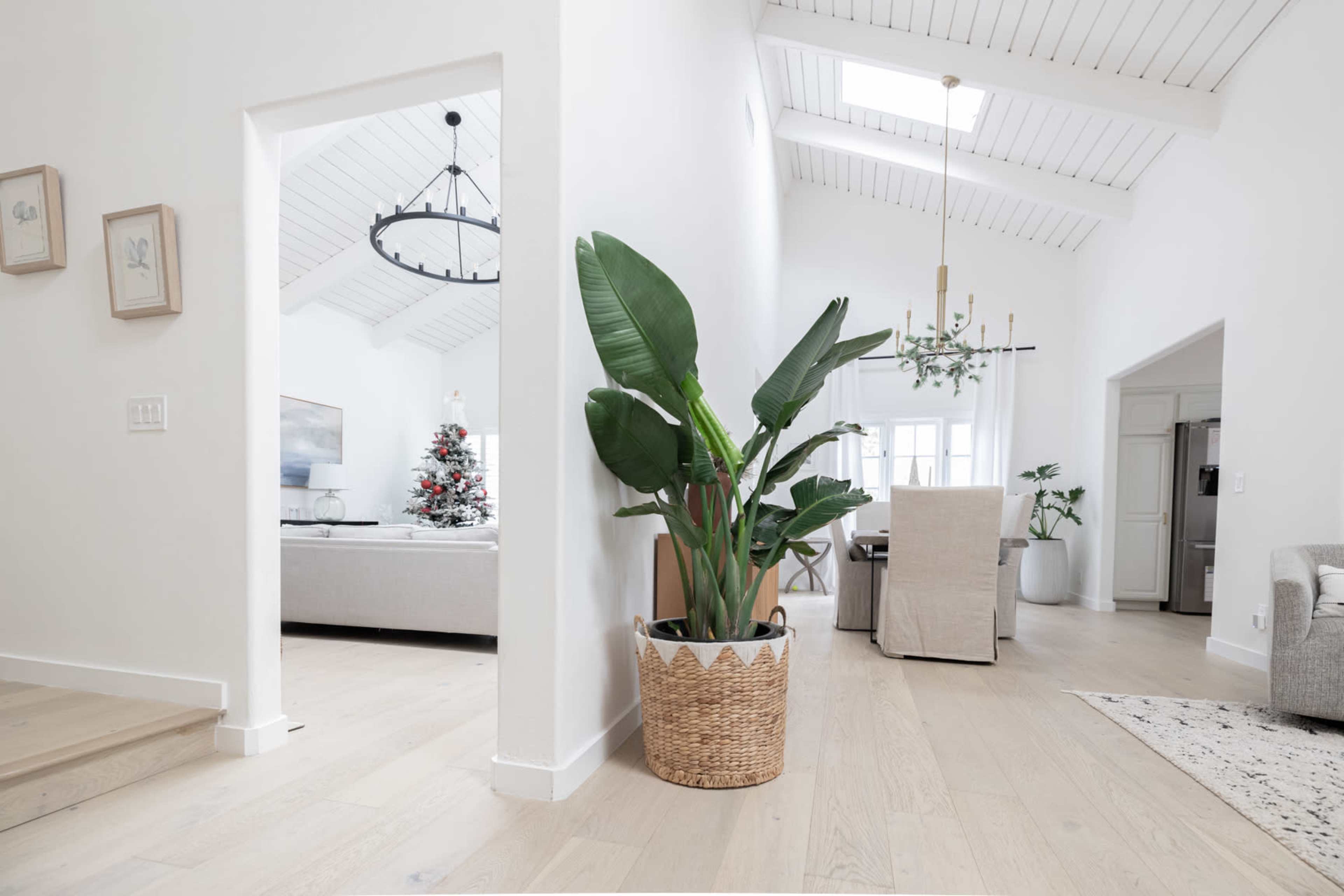A bright, modern interior featuring a potted plant near a corridor that leads to a living area with a Christmas tree visible in the background.