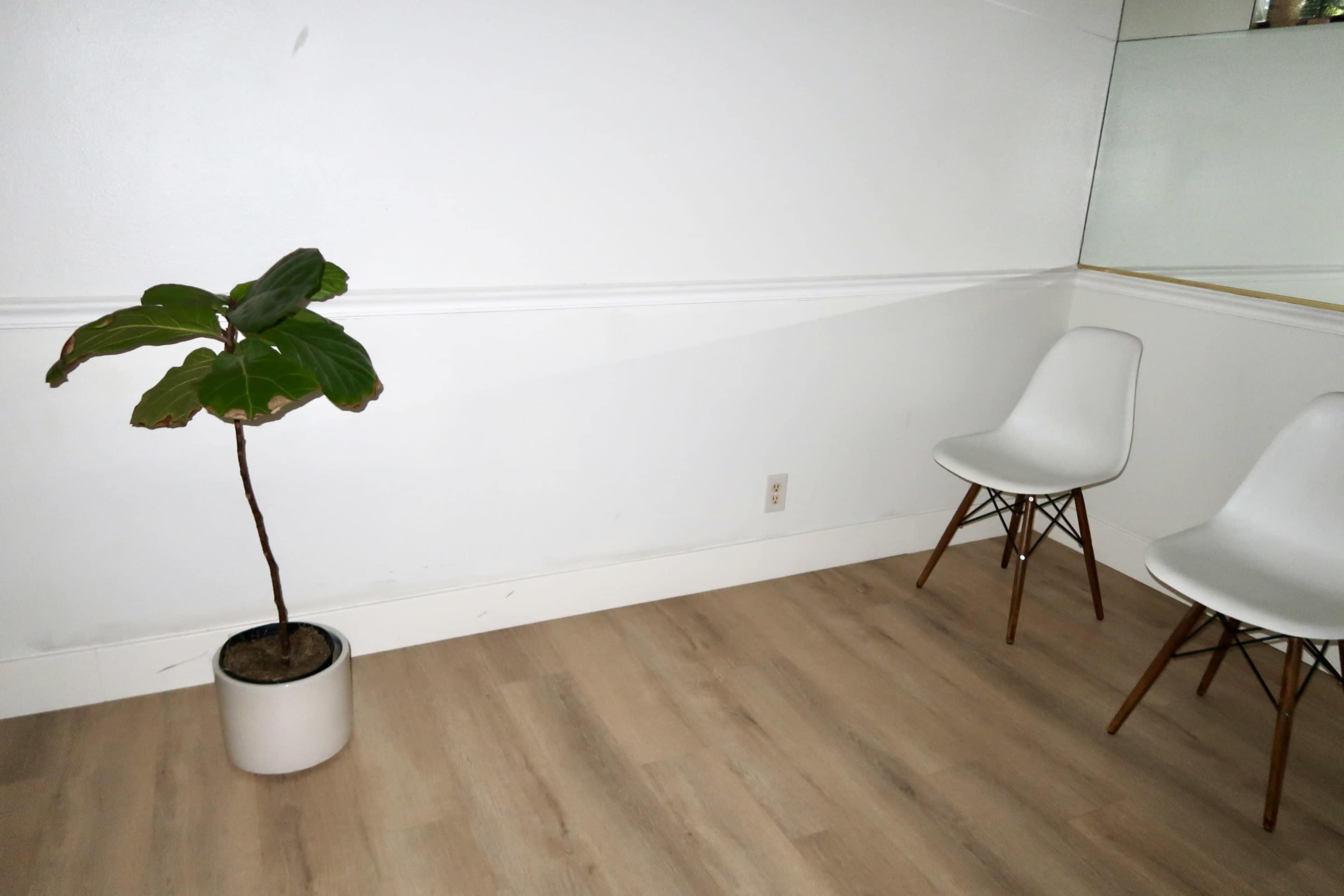 Modern Natural Light Apartment Loft for Photo/Video Shoots + Outdoor Space Image in West Hills, Los Angeles, CA