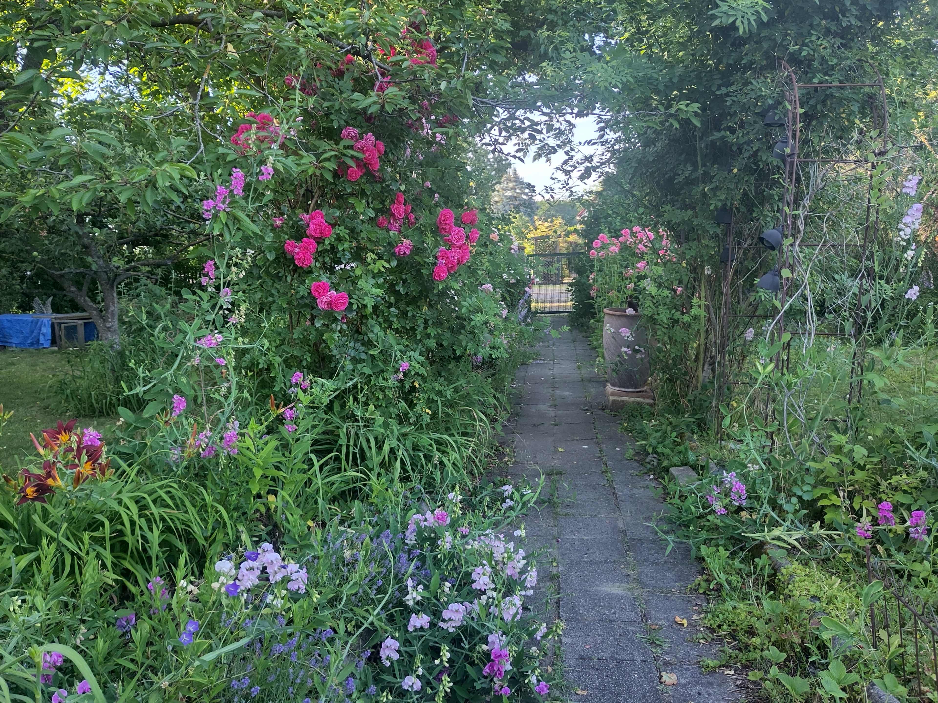 A stone path lined with colorful flowers and greenery leads through a lush garden filled with blooming plants.