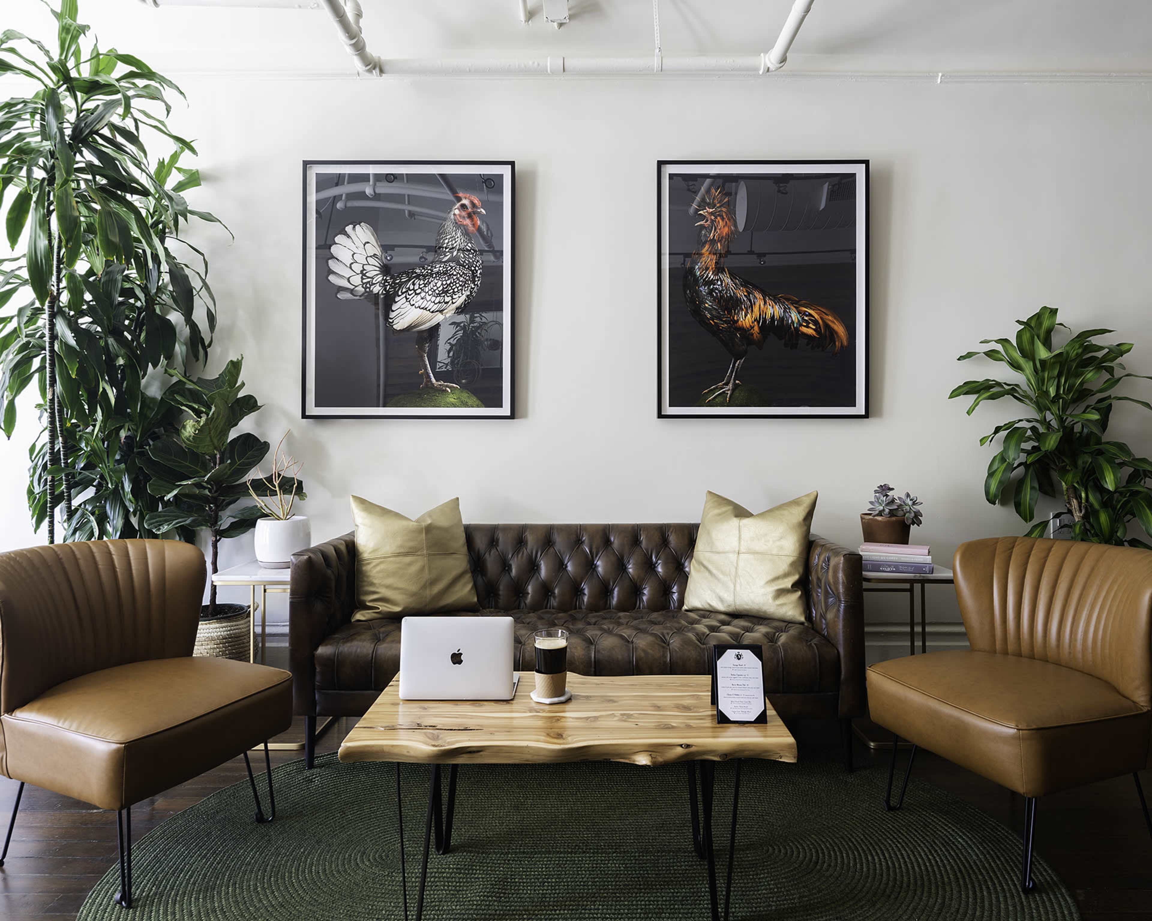 A modern seating area features a brown leather couch, two curved armchairs, a wooden coffee table, and wall art depicting chickens, surrounded by potted plants.