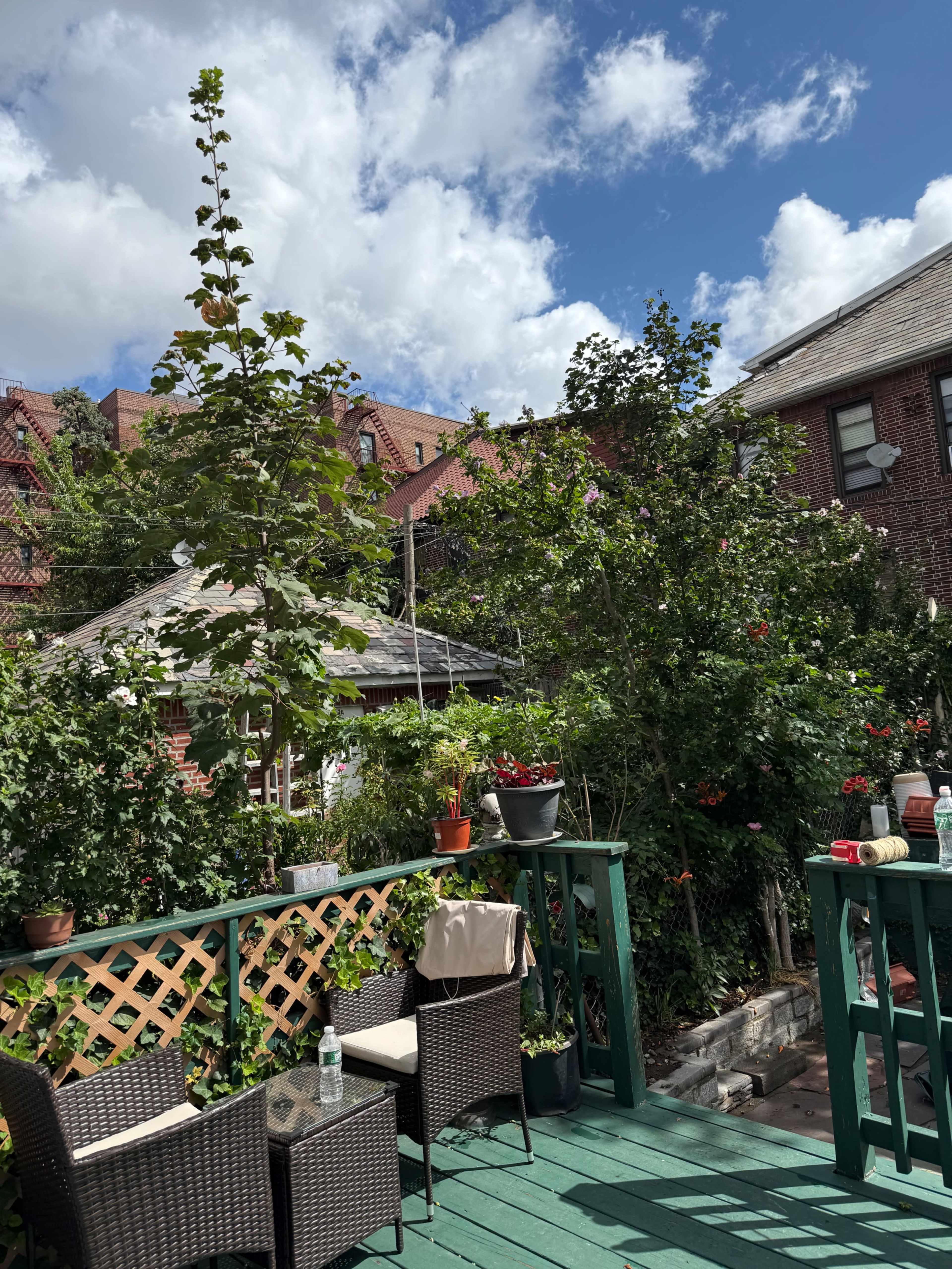 A deck surrounded by greenery features two chairs and potted plants under a blue sky with scattered clouds.